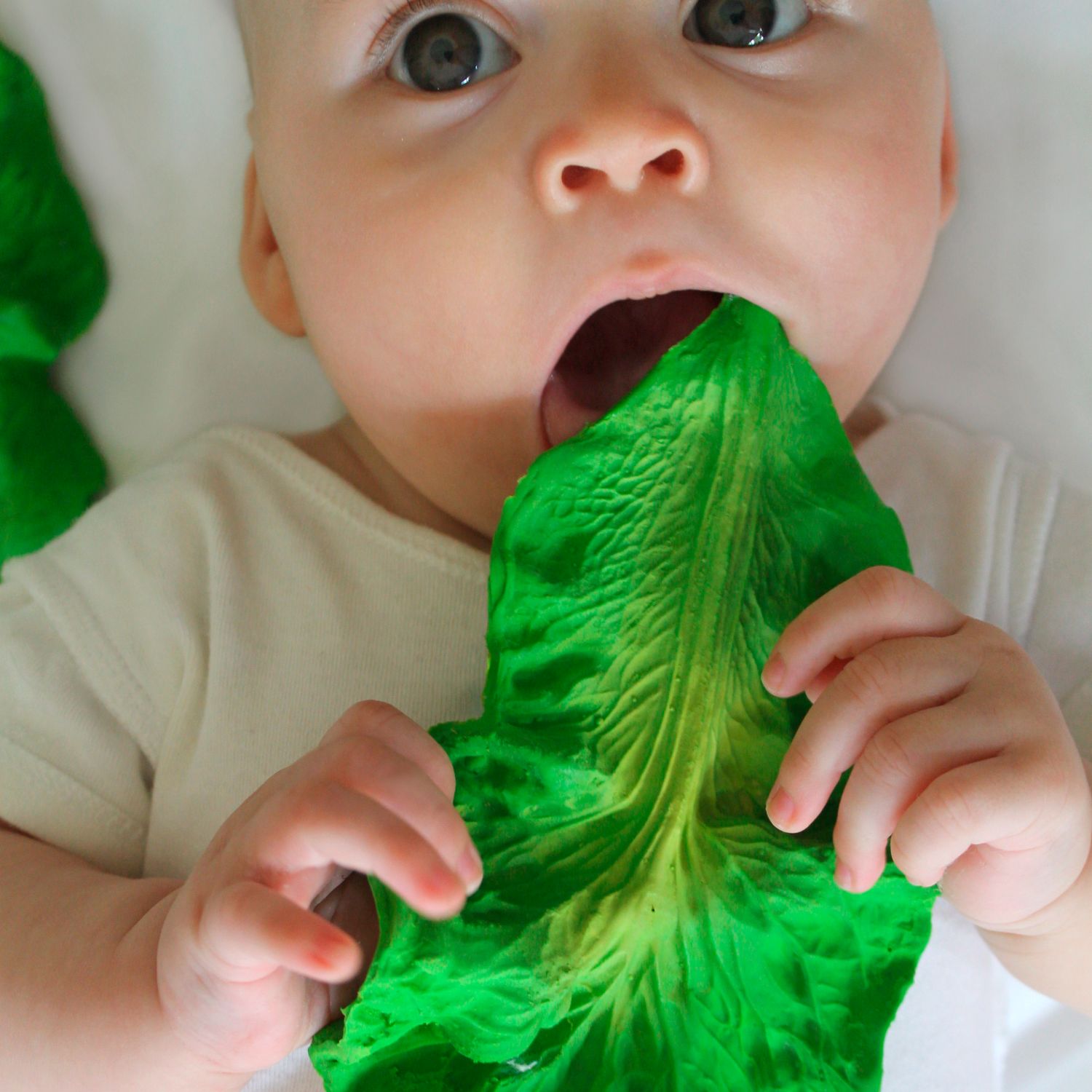 Oli & Carol Kendall The Kale Natural Rubber Teether