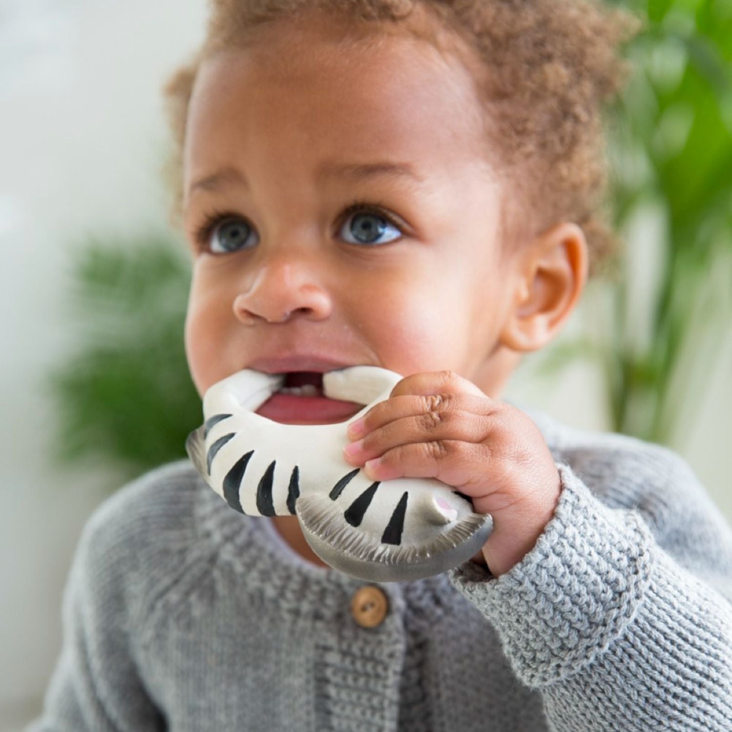 Oli & Carol Zoe The Zebra Bracelet Teether