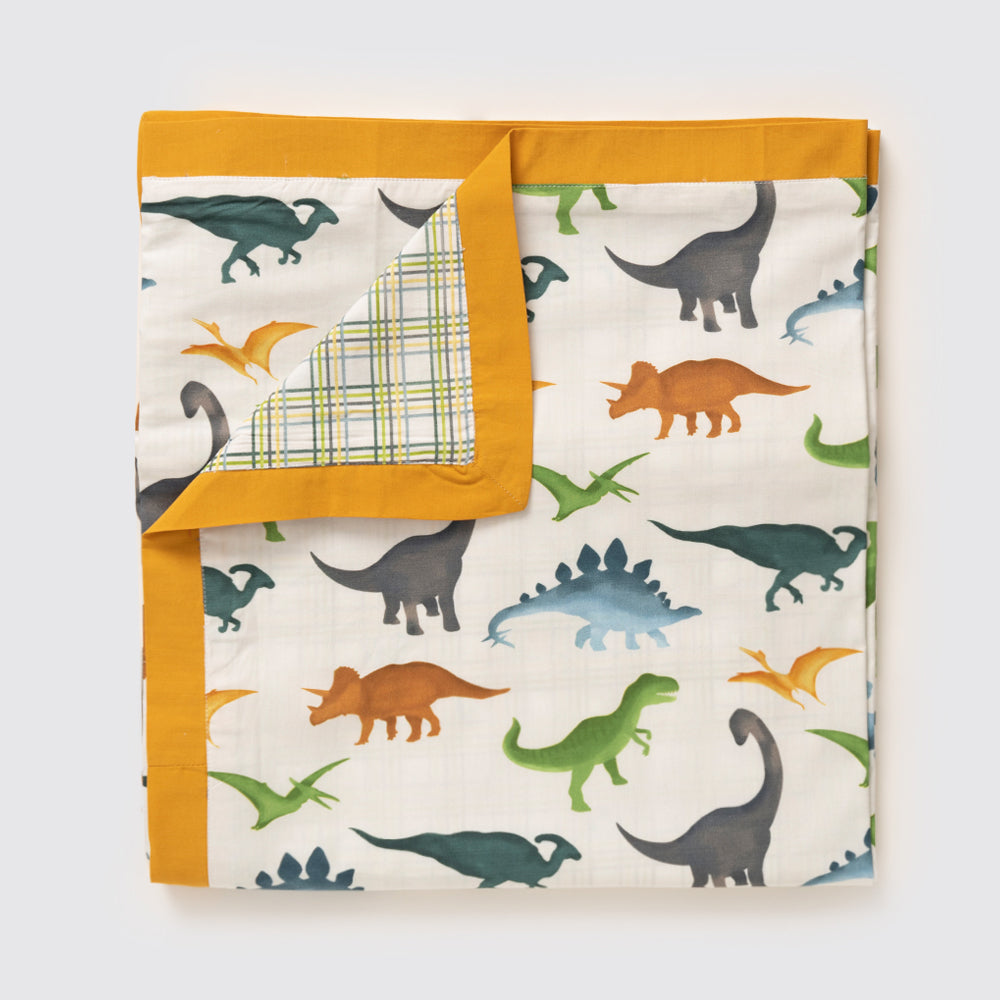 Dinosaur Organic Reversible Duvet (Dohar)