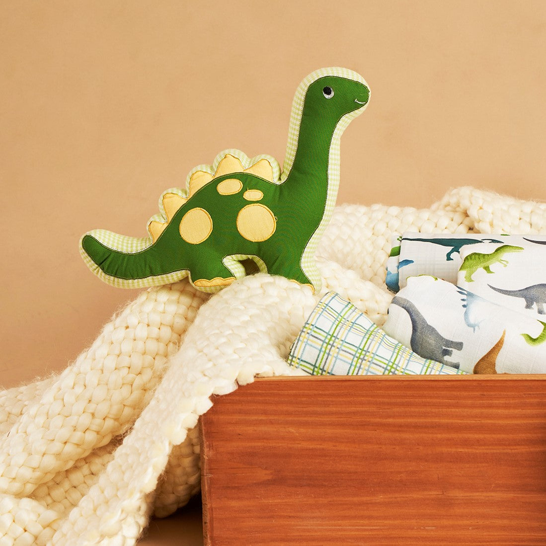 Dinosaur Decorative Pillow