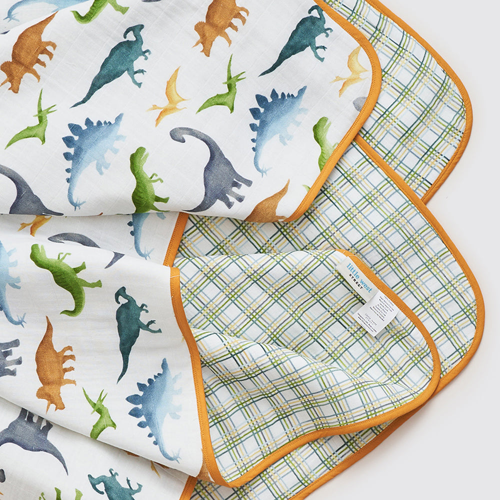 Dinosaurs Organic Reversible Blanket