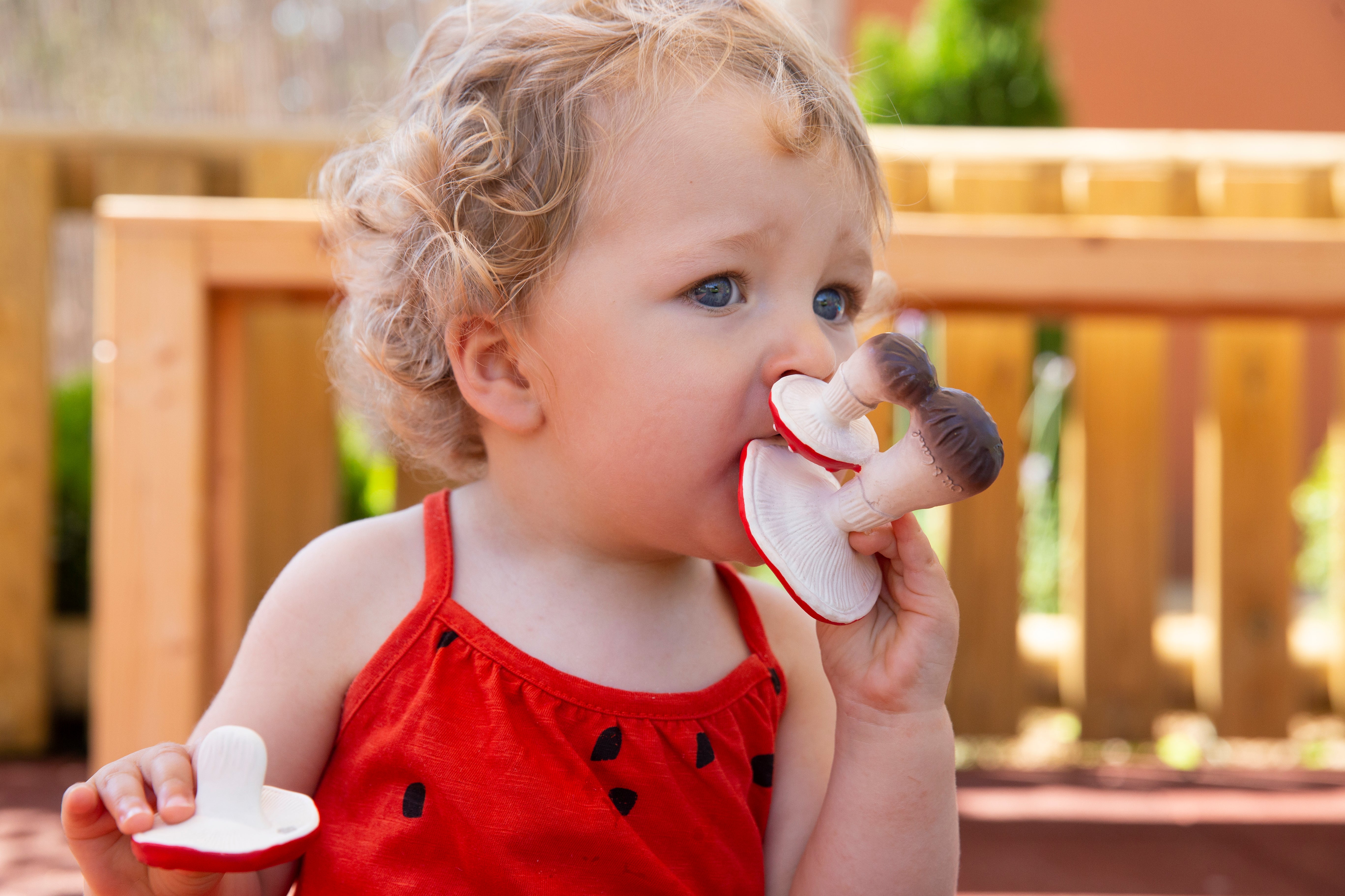 Oli & Carol Spot The Mushroom Natural Rubber Teether