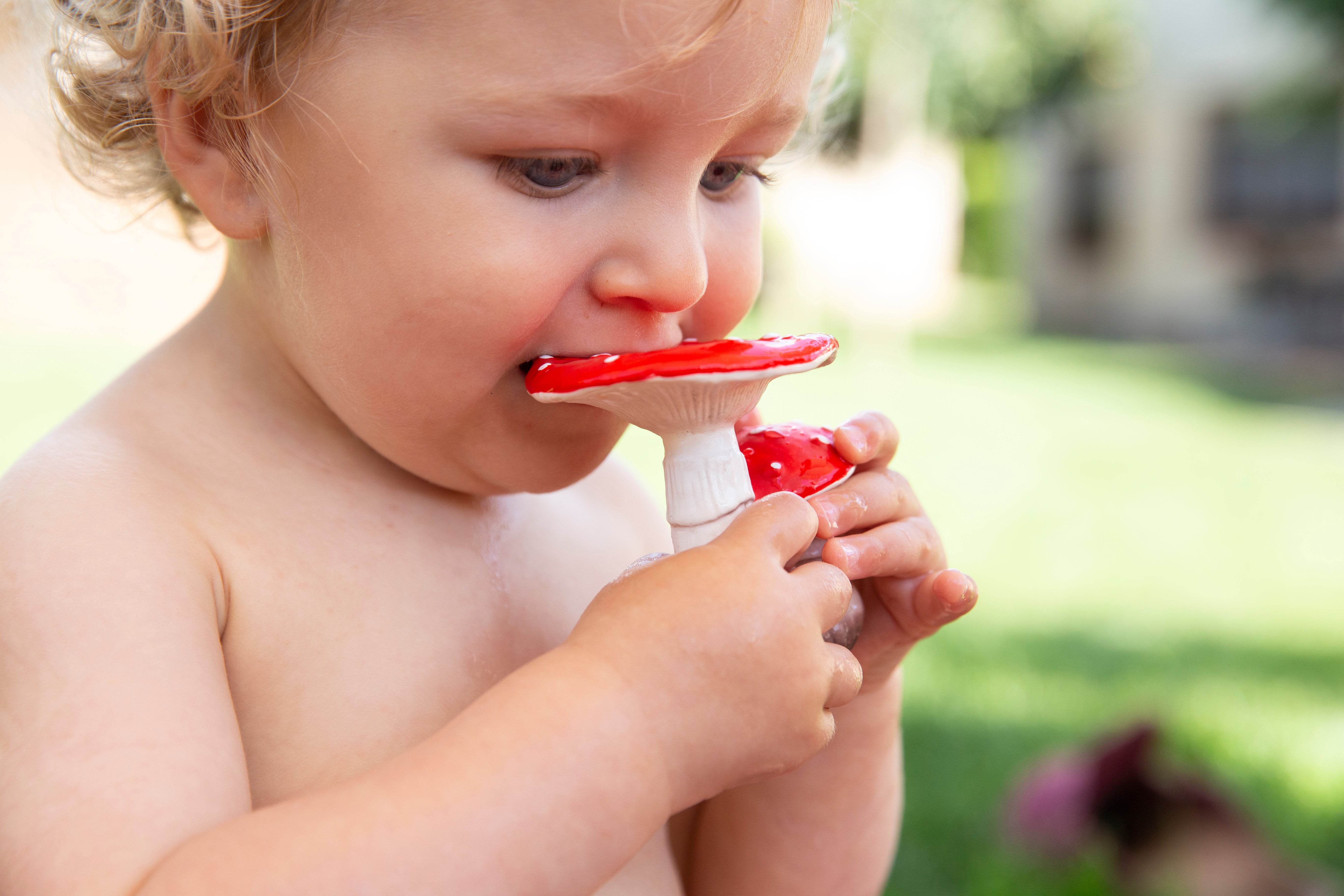 Oli & Carol Spot The Mushroom Natural Rubber Teether