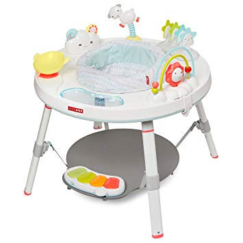 Skip hop explore and more hot sale activity center