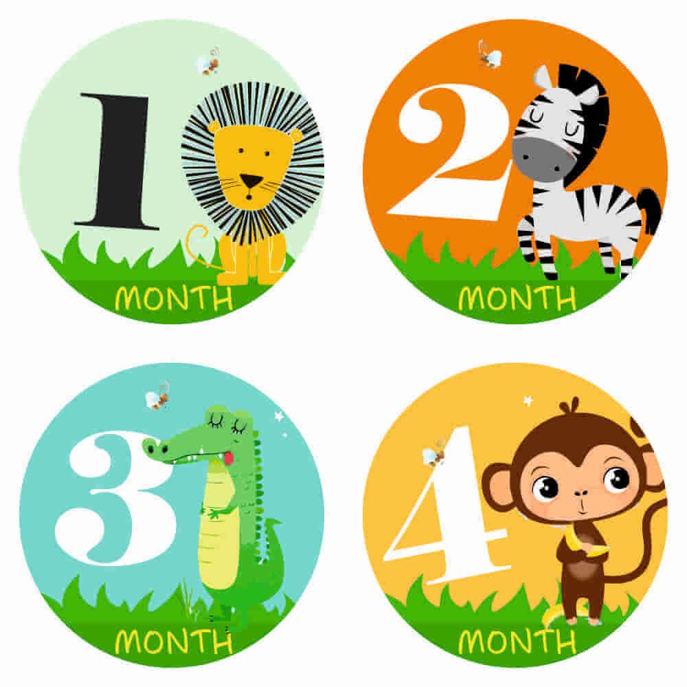 Monthly Milestone Stickers - Safari Theme