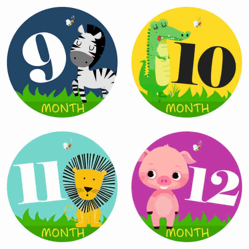 Monthly Milestone Stickers - Safari Theme