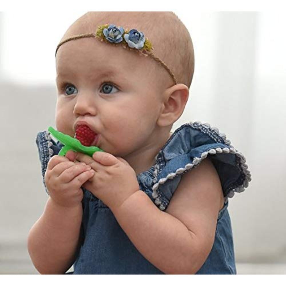 RaZbaby RaZberry Teether Single Pack-Baby Gears-RaZbaby-Toycra