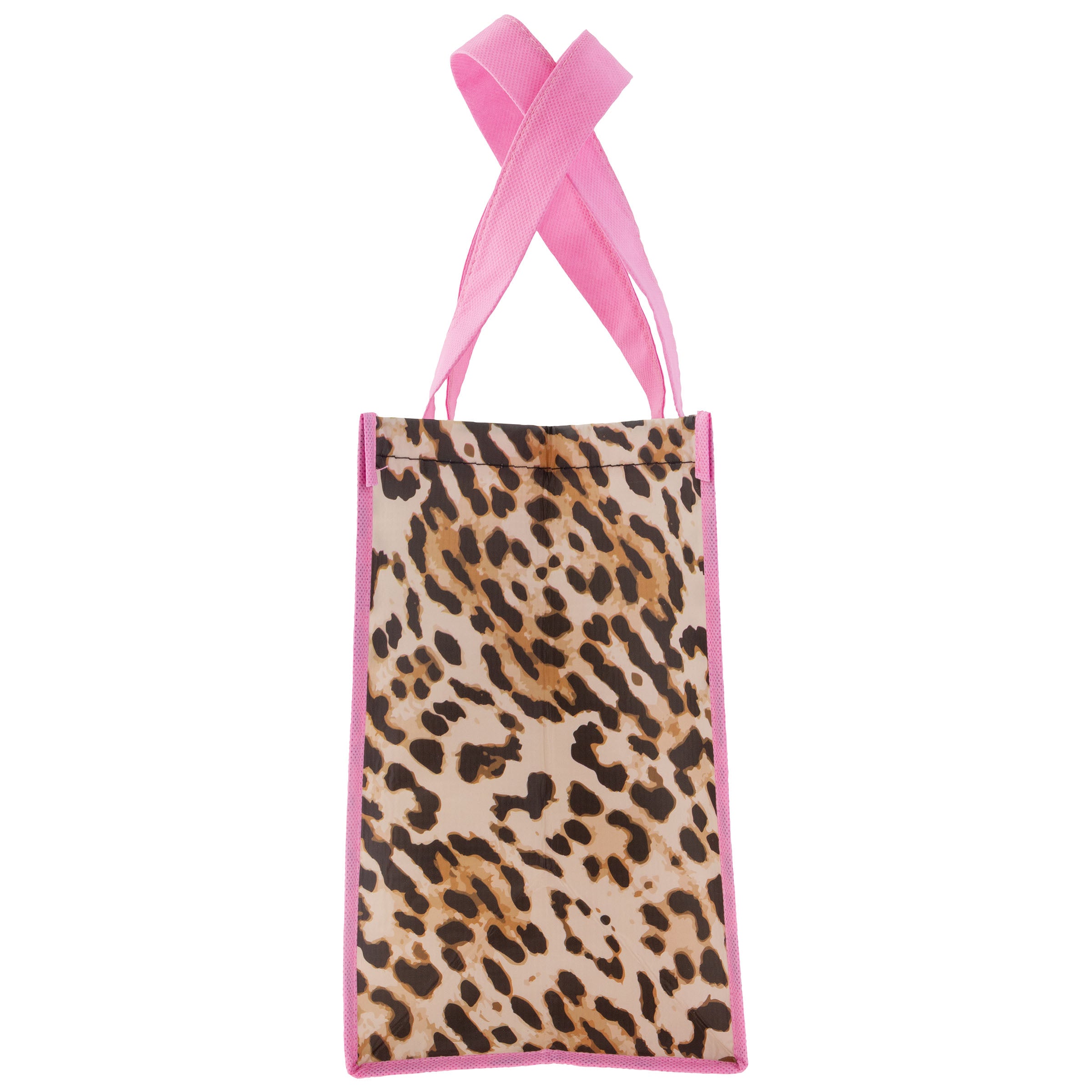 Recycled Gift Leopard