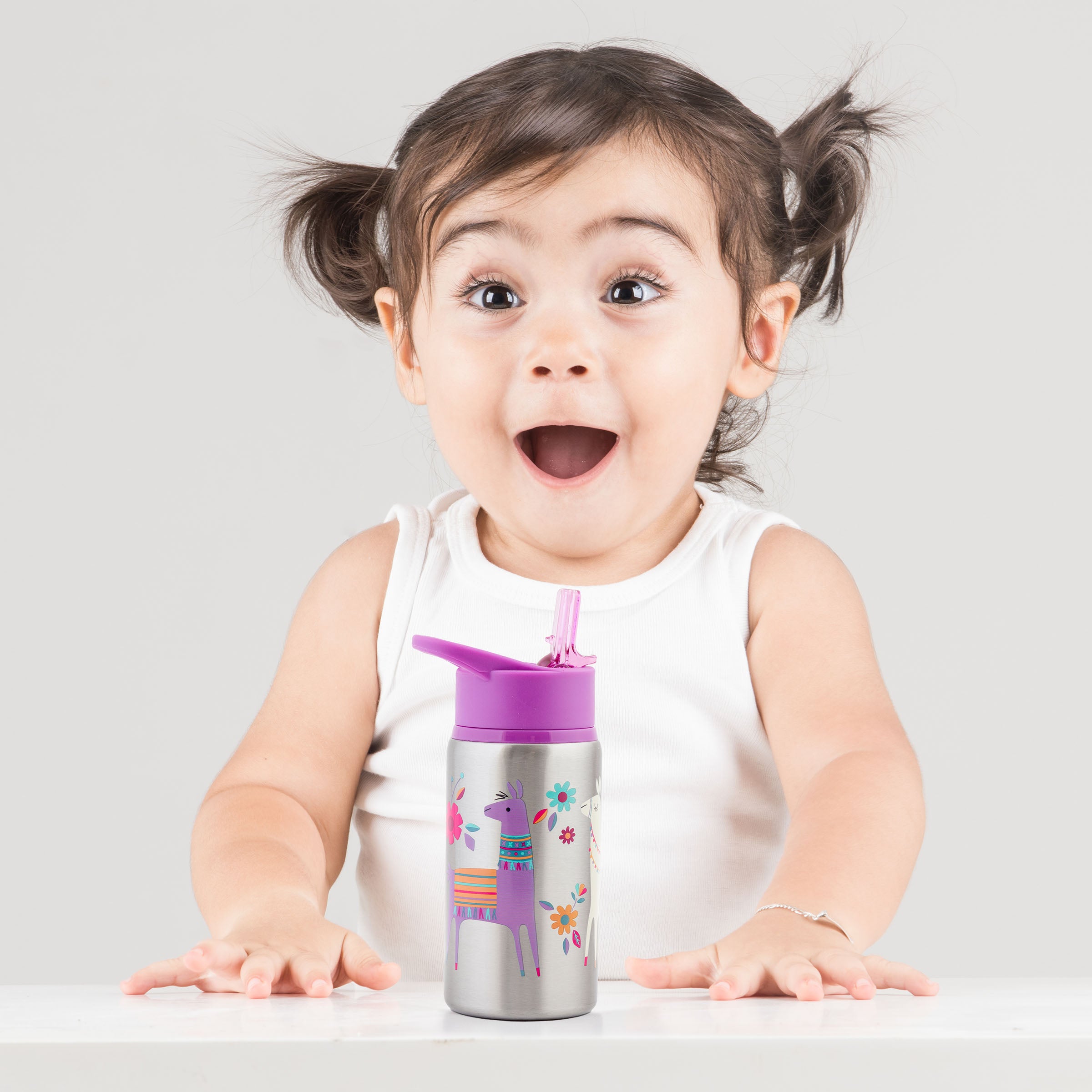 Stainless Steel Water Bottles Llama