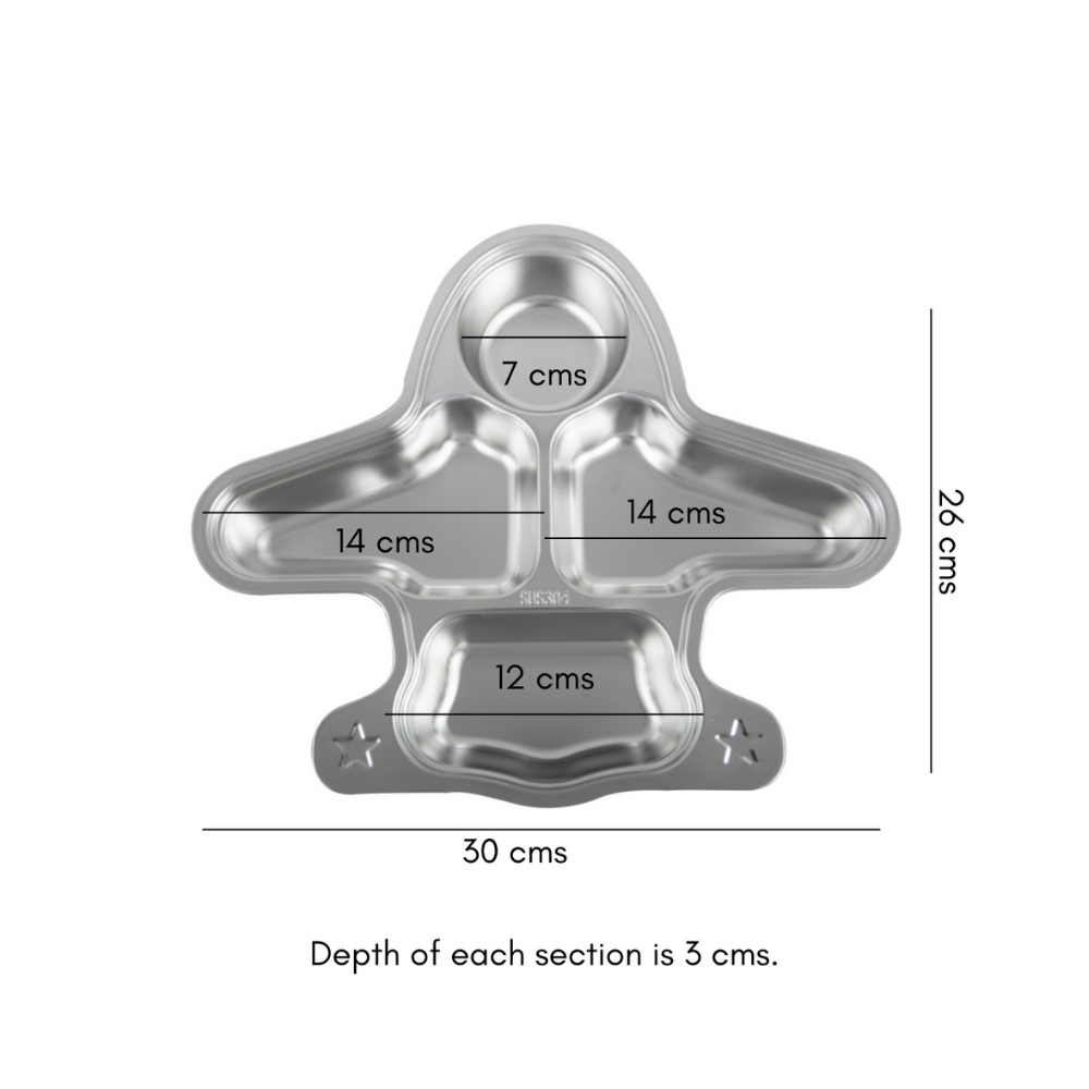 Stainless Steel Airplane Lunch Plate