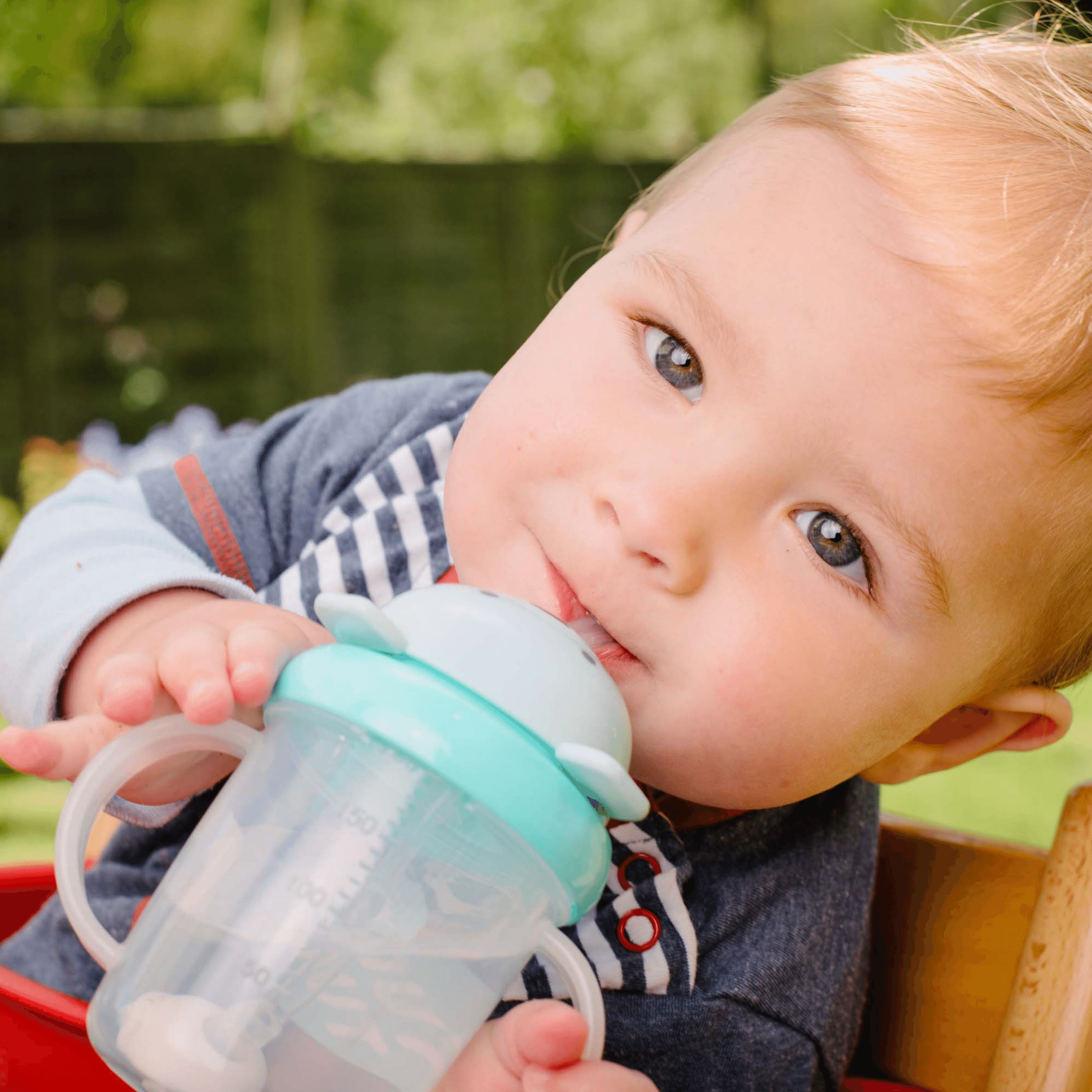 TUM TUM Tippy Up Sippy Cup - Betsy Bear