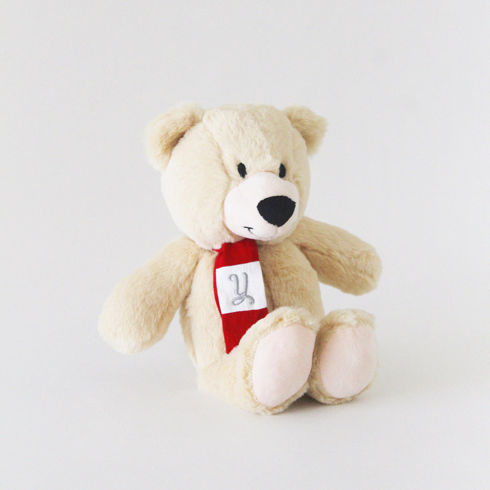 Personalized Christmas Teddy