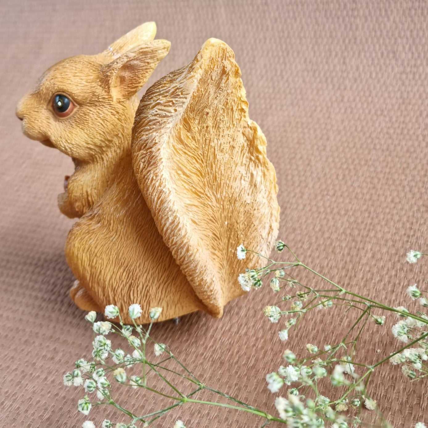 The Winsome Squirrel