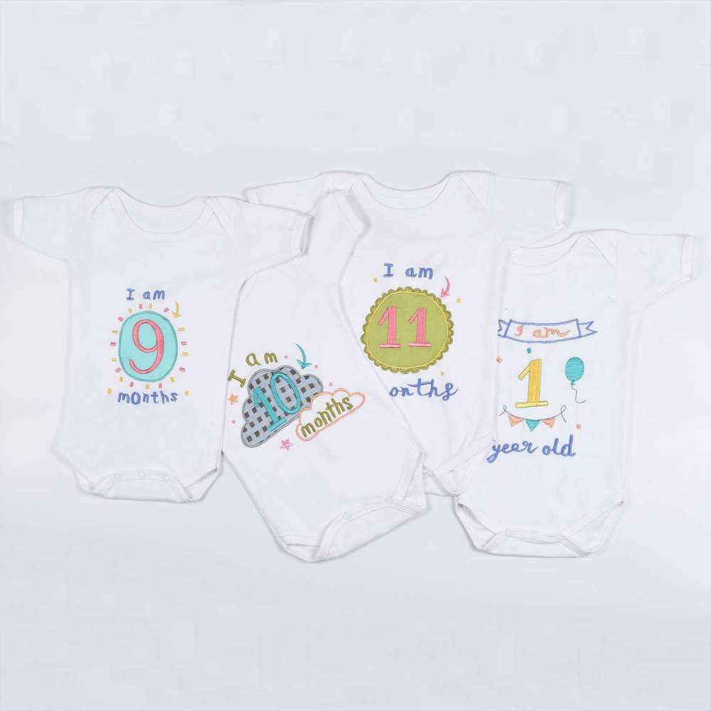 Hand Embroidered Milestone Romper Set of 12 - Bubble Thoughts