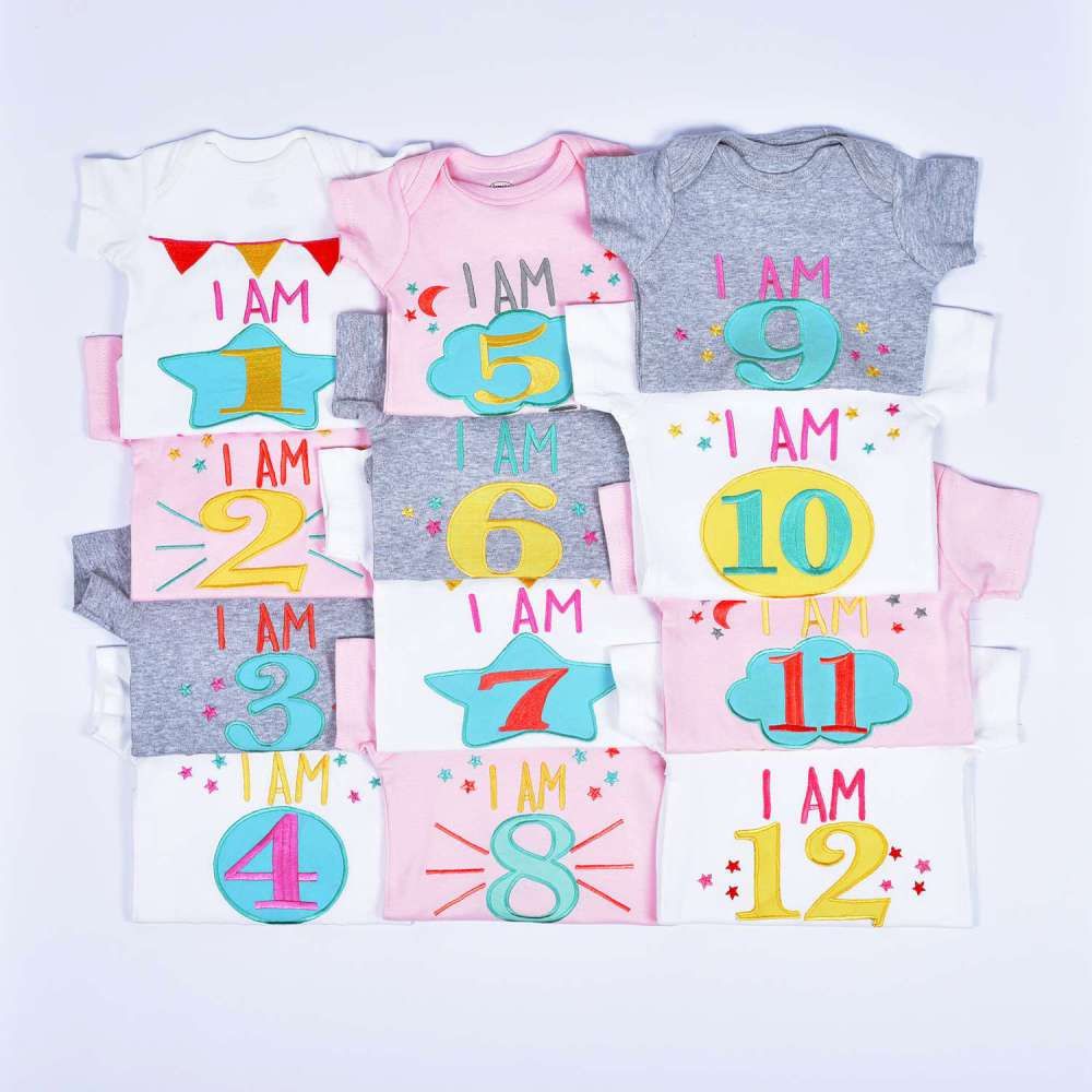 Hand Embroidered Milestone Romper Set of 12 - Stars