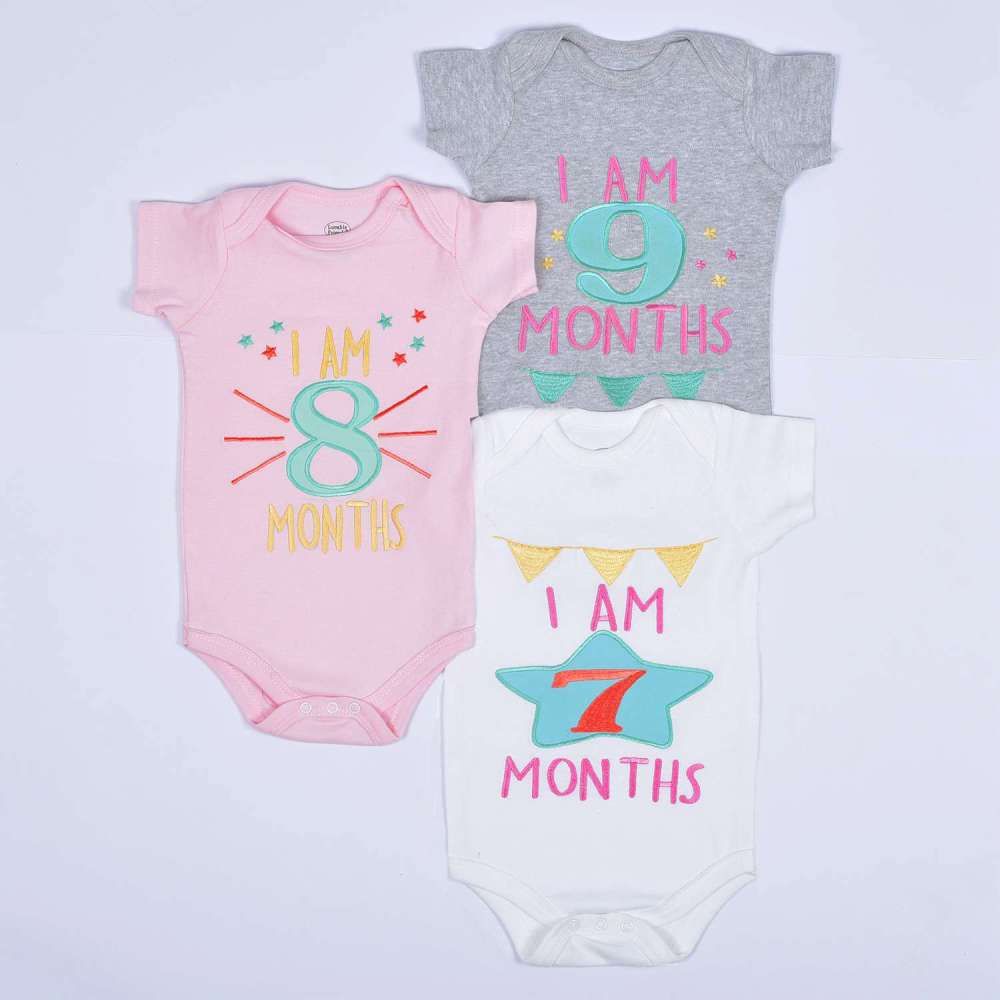 Hand Embroidered Milestone Romper Set of 12 - Stars