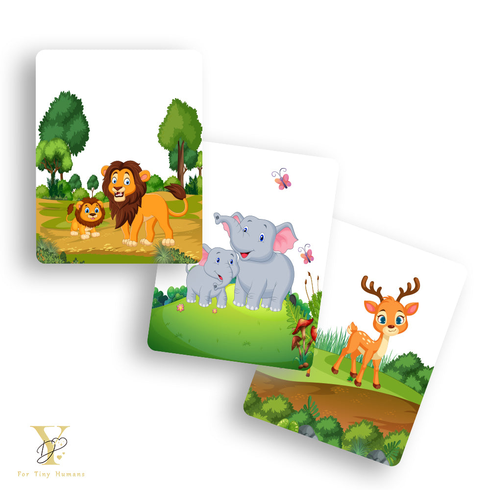 Doodle's Flash Cards Collection - Farm & Wild Animals