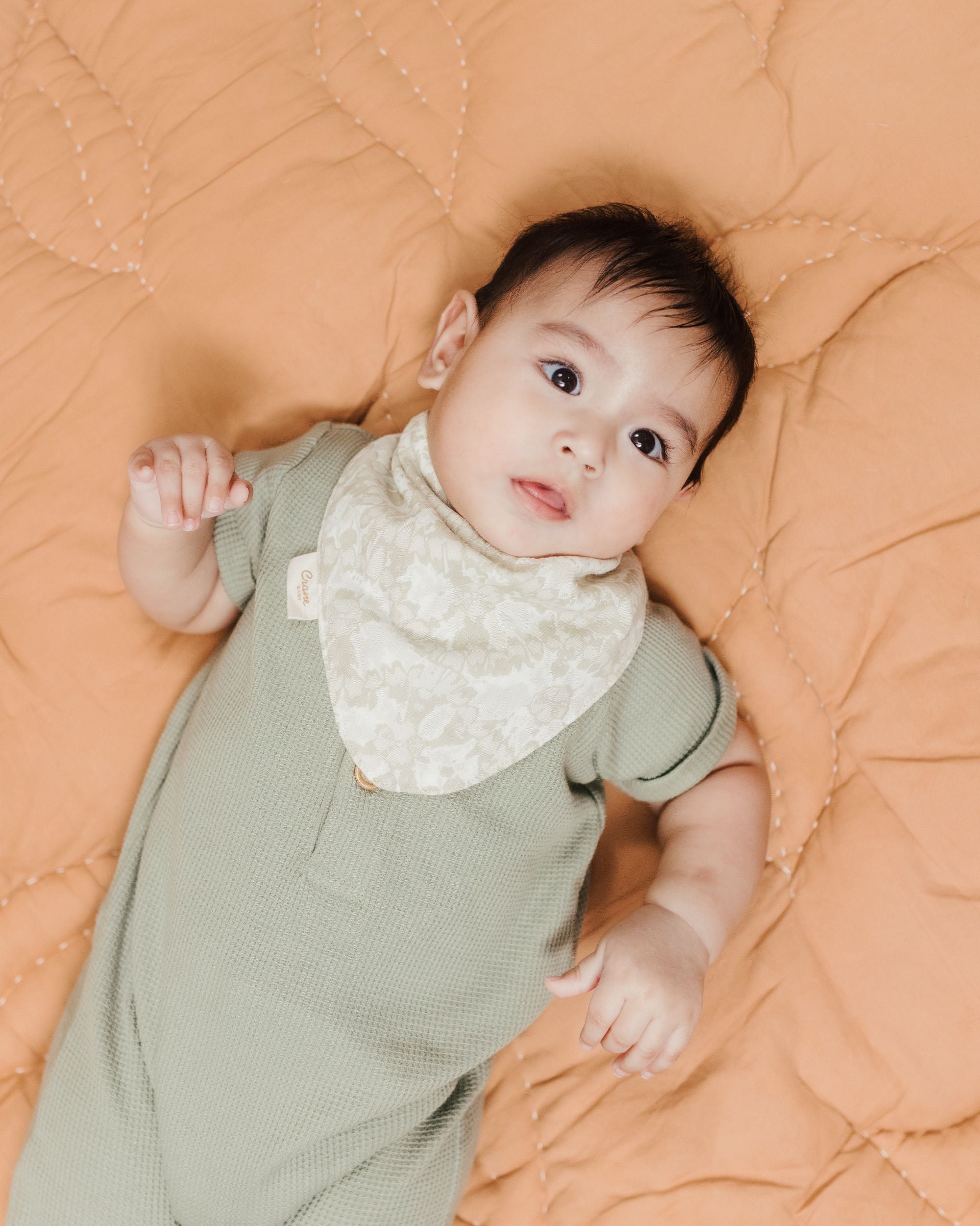 Crane Baby Bandana Bib Set