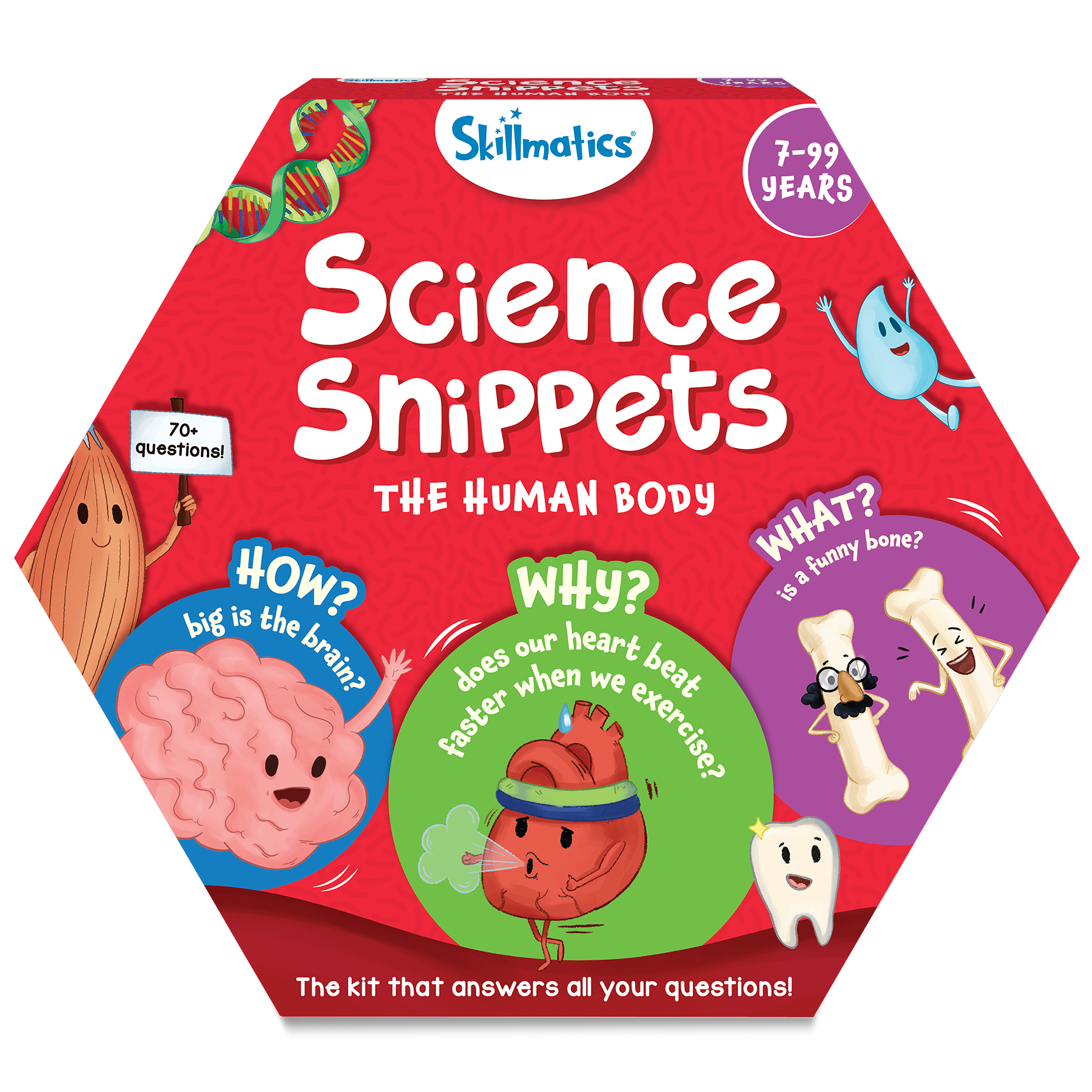 Skillmatics Science Snippets Kit - The Human Body, STEM Learning Resource & Educational Toys for Boys & Girls, 70+ Double-Sided Interactive Cards, Gifts for Ages 7, 8, 9 & Up