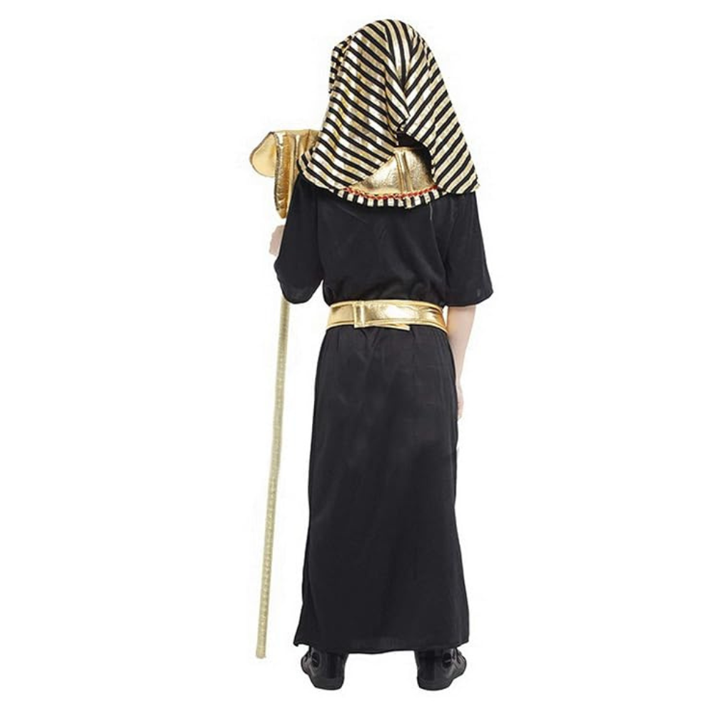 Dynasty Pharaoh King - image 1