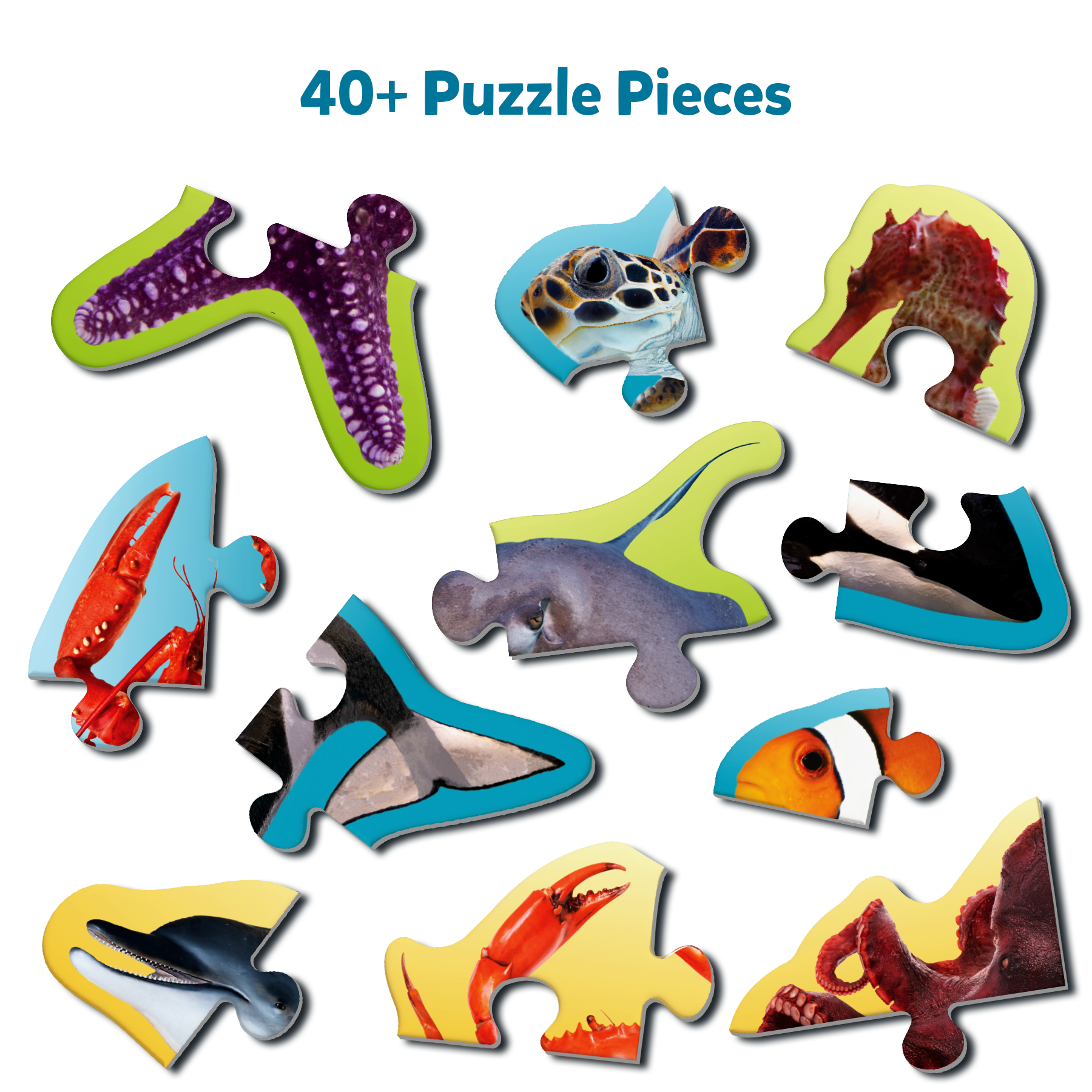 Skillmatics Step by Step Puzzle - 41 Piece Underwater Animal Jigsaw & Toddler Puzzles for Stage-Based Learning, Educational Montessori Toy Boy & Girl, Gifts for Kids Ages 3 and Up