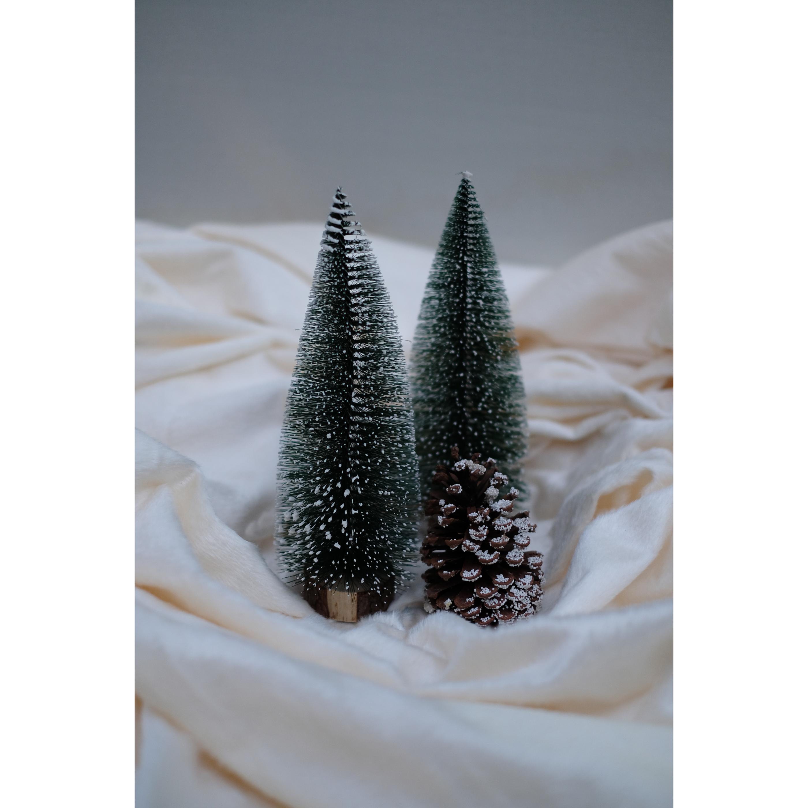 SWEN JANE Tabletop Christmas Tree With Frosting And Wooden Base, Pack Of 3