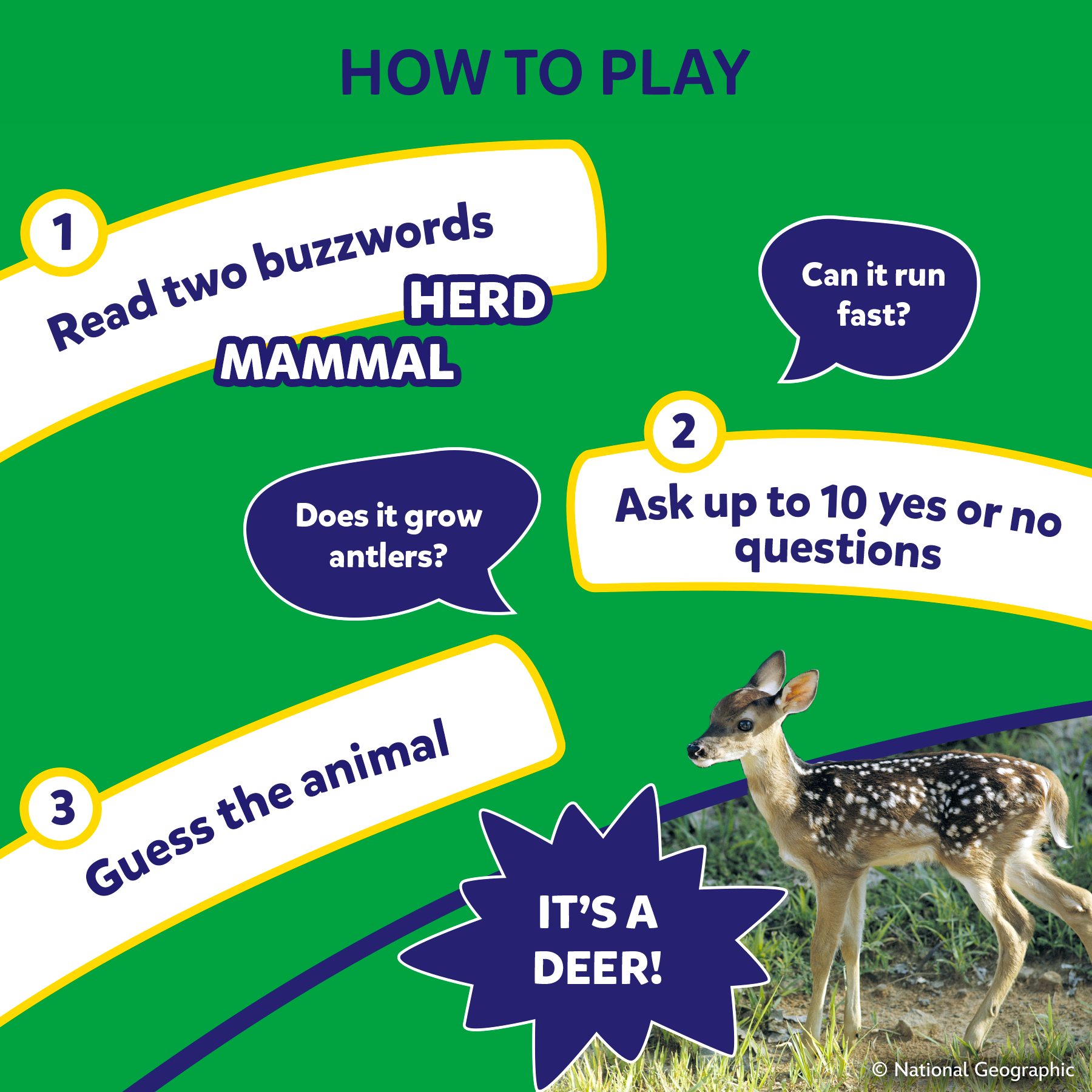 Skillmatics Guess in 10 National Geographic Animals, Educational Card Game
