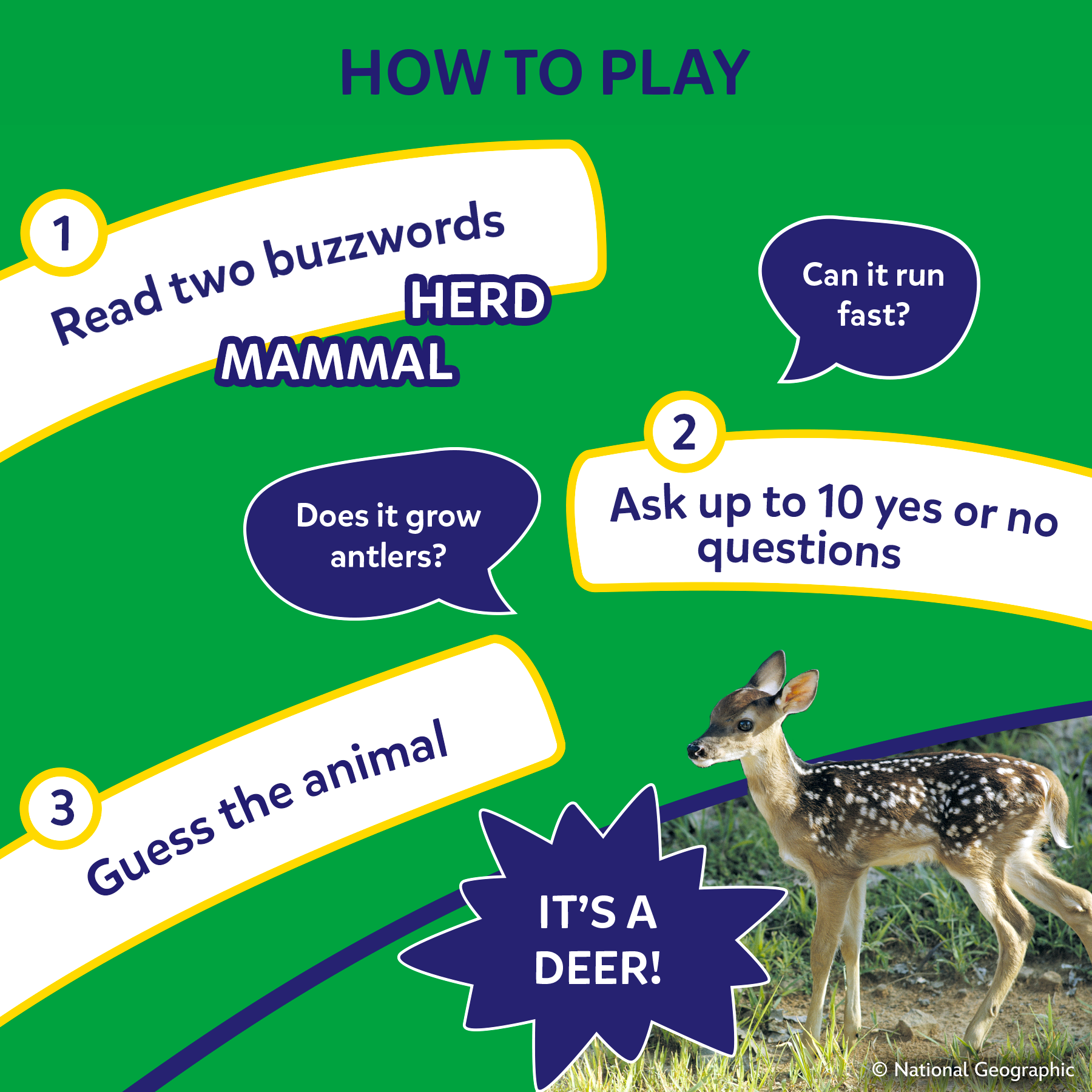 Game instructions for guessing an animal with a deer illustration on a green background