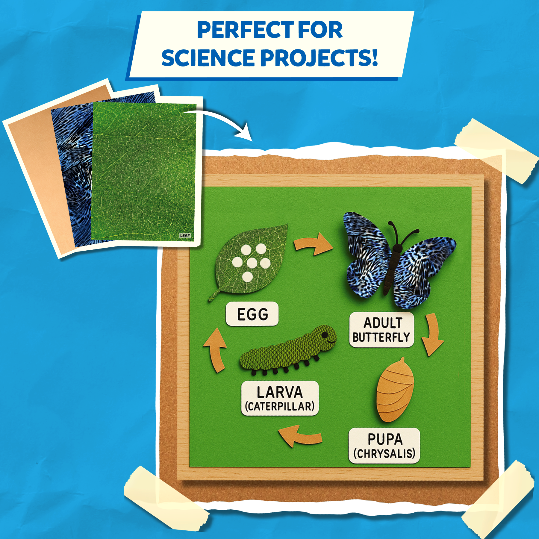 Skillmatics Life Science Construction Paper for Kids - 120 Double-Sided Printed Sheets (9x12), Textured Craft Paper for Art Projects, Science Activities, DIY Crafts, Scrapbooking, School Supplies