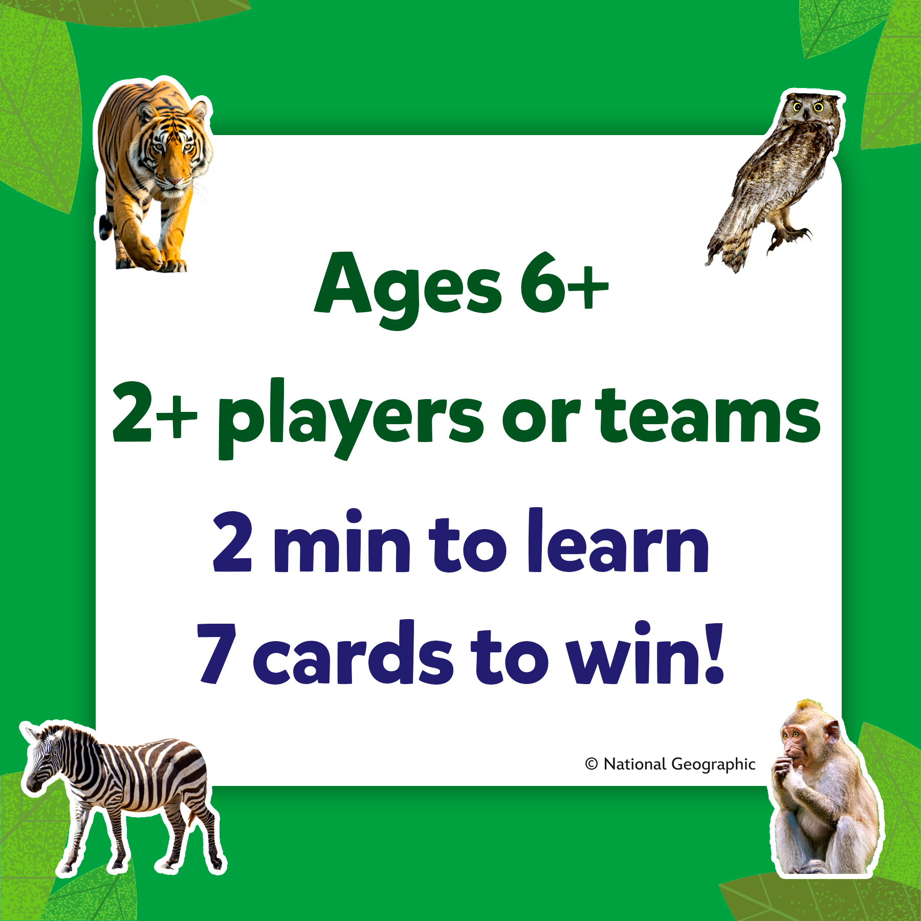 Skillmatics Guess in 10 National Geographic Animals, Educational Card Game