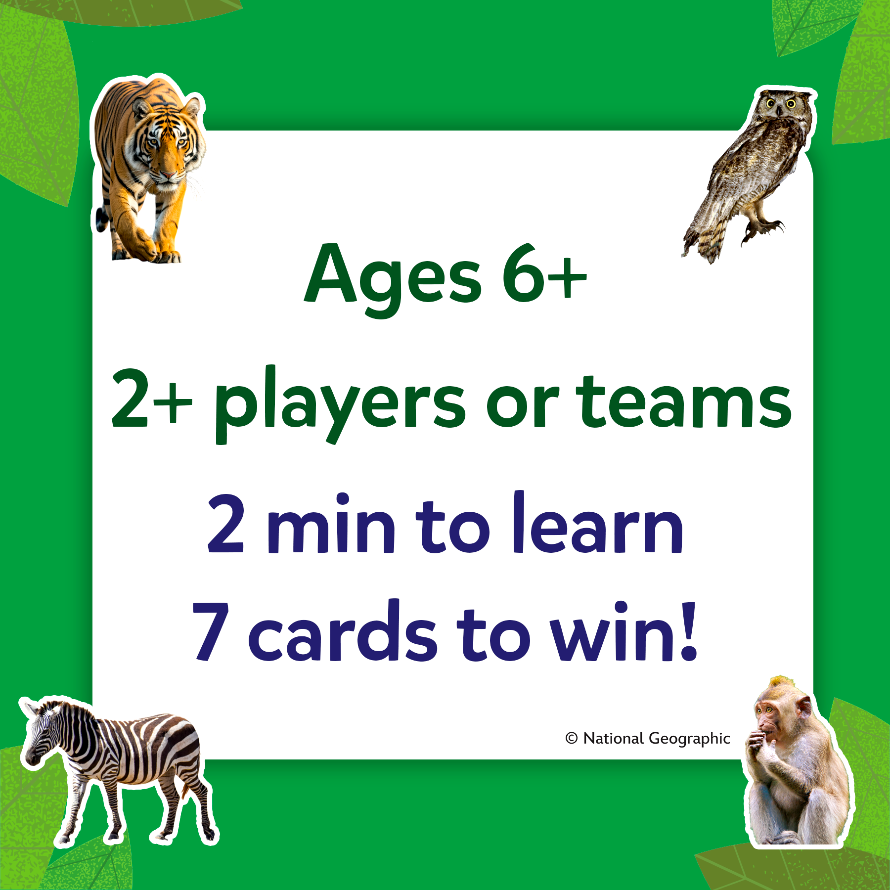 Game card with animal illustrations and game rules on a green background