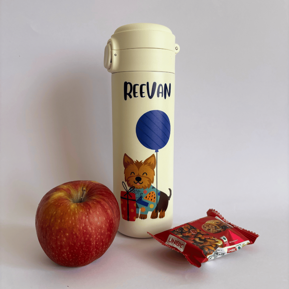 Hot Air Balloons Water Bottle - Insulated
