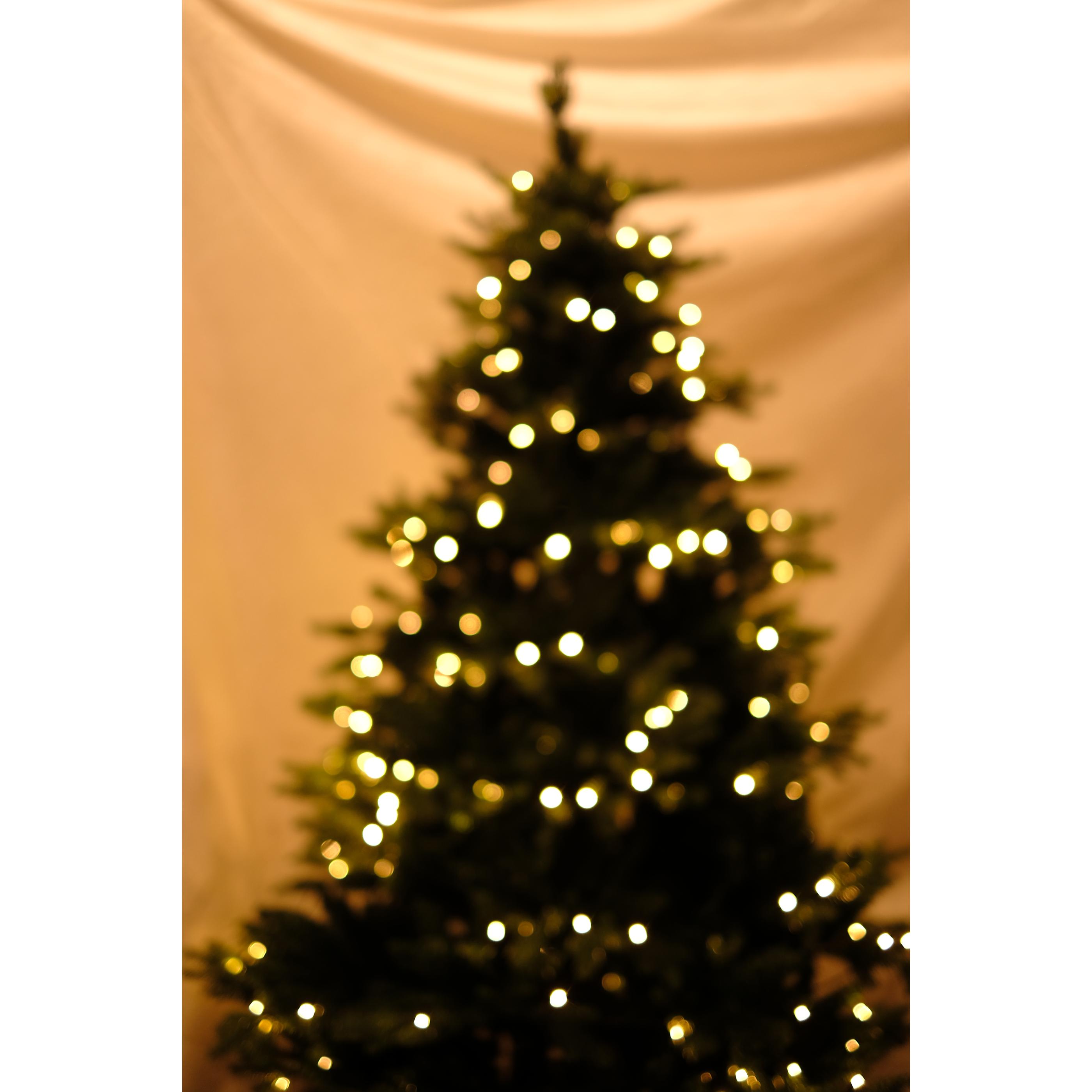 SWEN 6 feet pre-lit MELROSE Christmas Tree