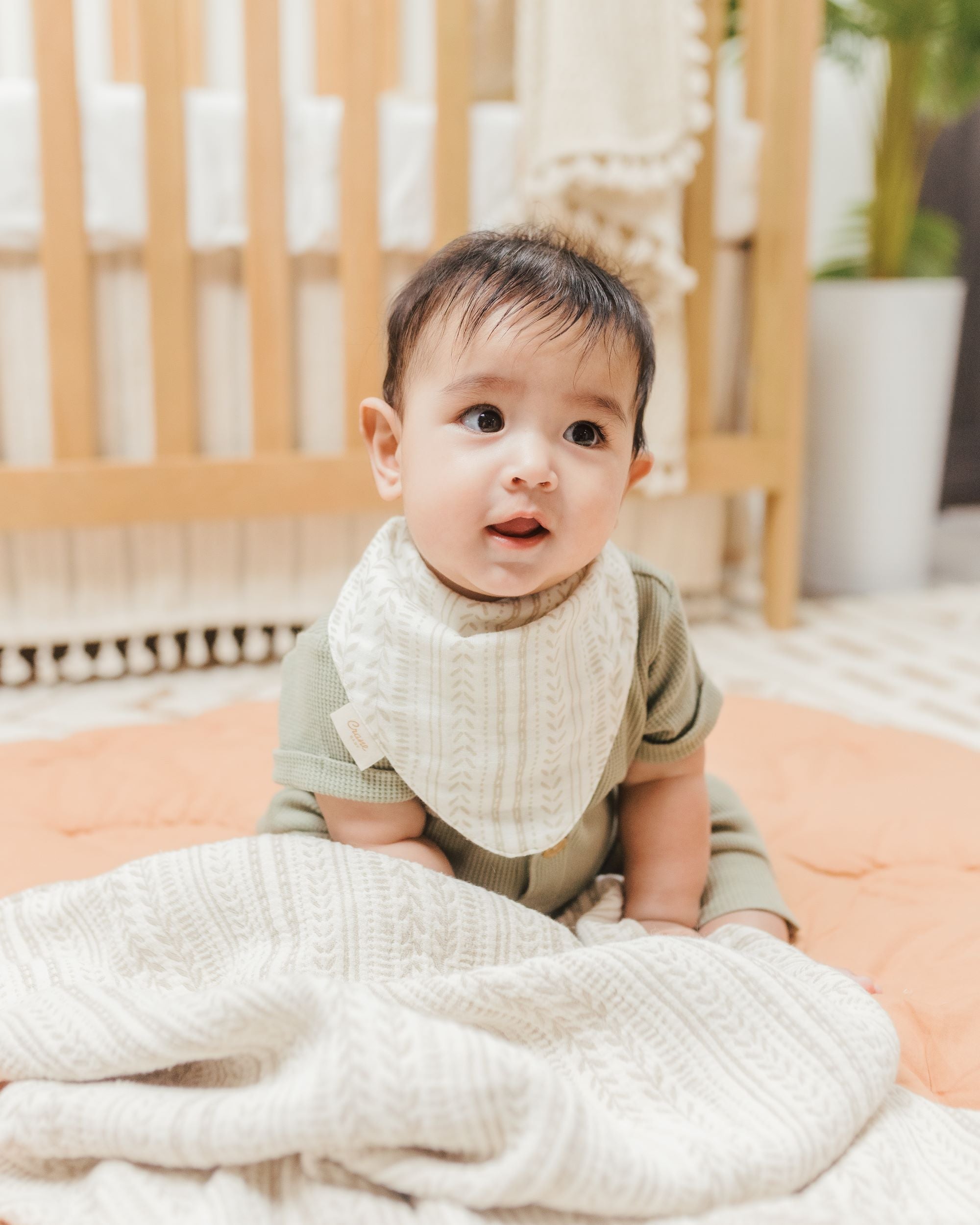 Crane Baby Bandana Bib Set Multicolor Leaf  Willow Collection - Multicolor