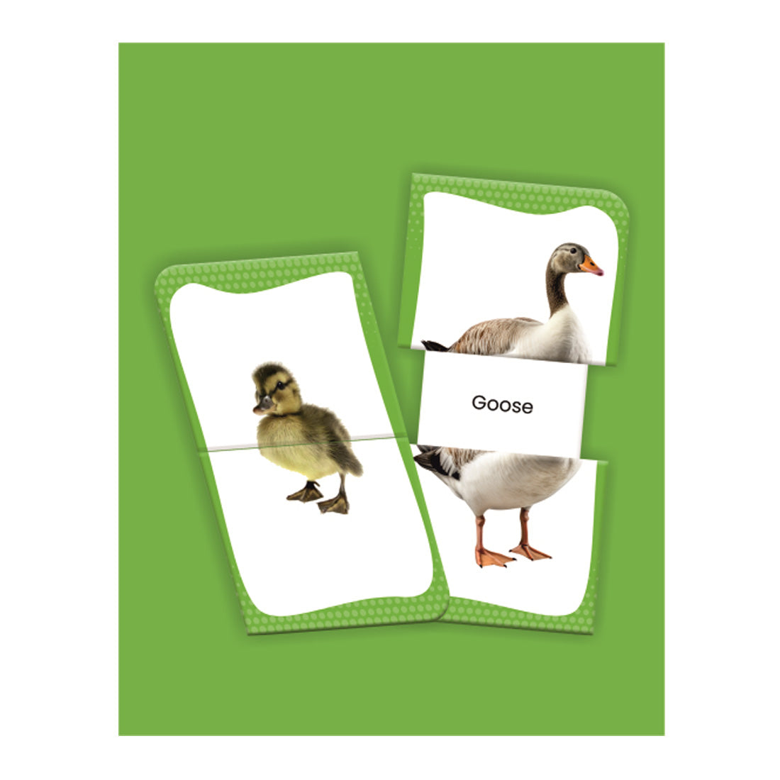 Woodpecker Books: Slide & Learn Flash cards - Farm Animals & Babies