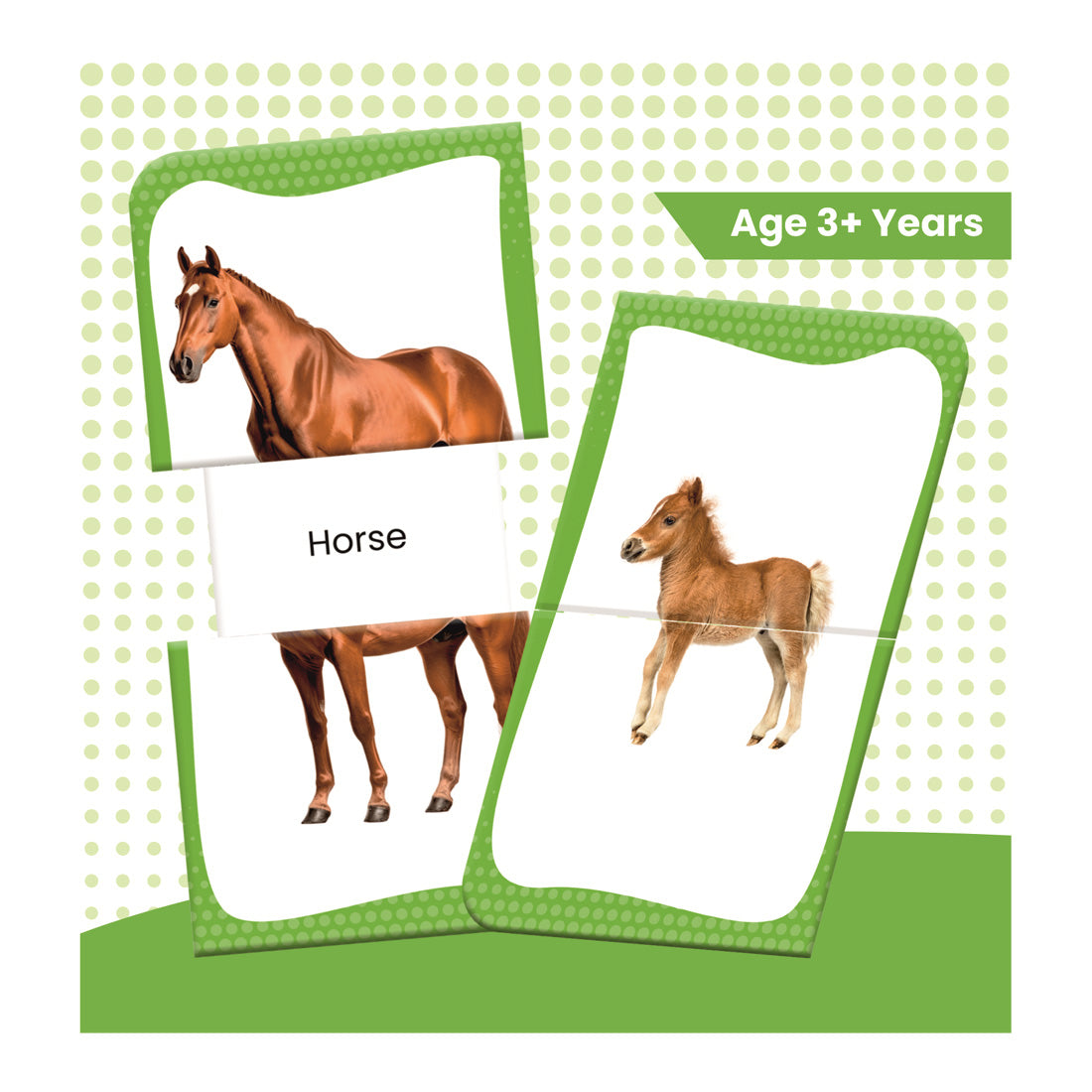 Woodpecker Books: Slide & Learn Flash cards - Farm Animals & Babies