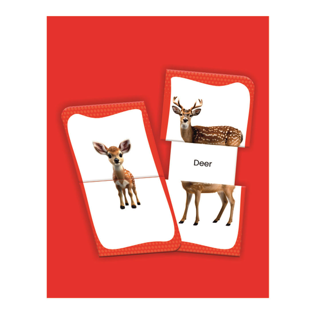 Woodpecker Books: Slide & Learn Flash cards - Wild Animals & Babies