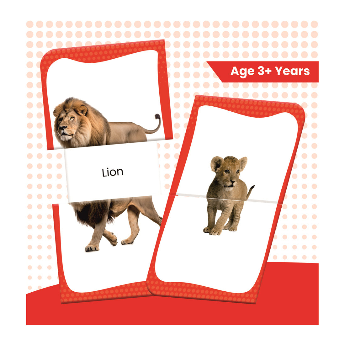 Woodpecker Books: Slide & Learn Flash cards - Wild Animals & Babies