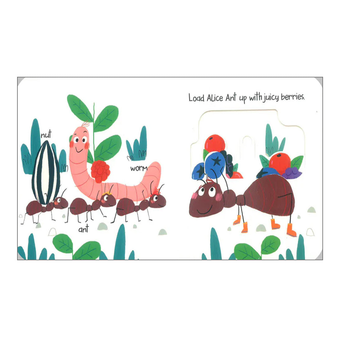 Slide & Peek: Little Creatures