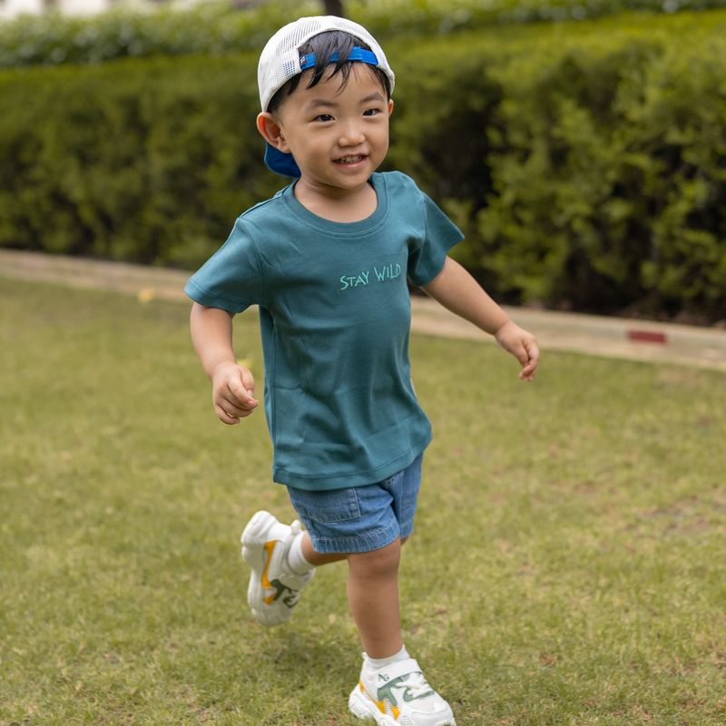 Cotton T-Shirt Set of 3