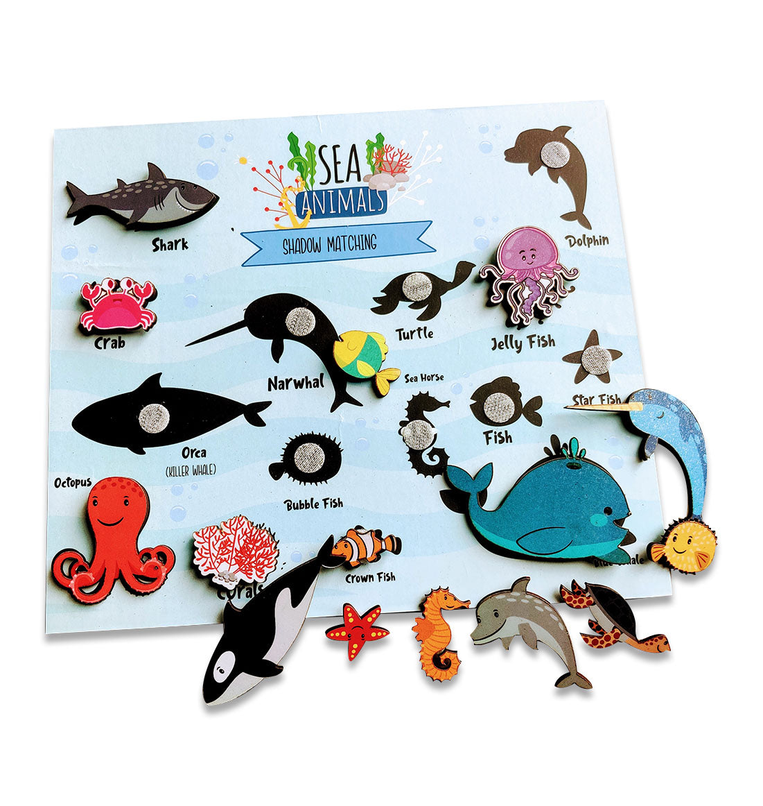 Sea Animals Shadow Matching Activity