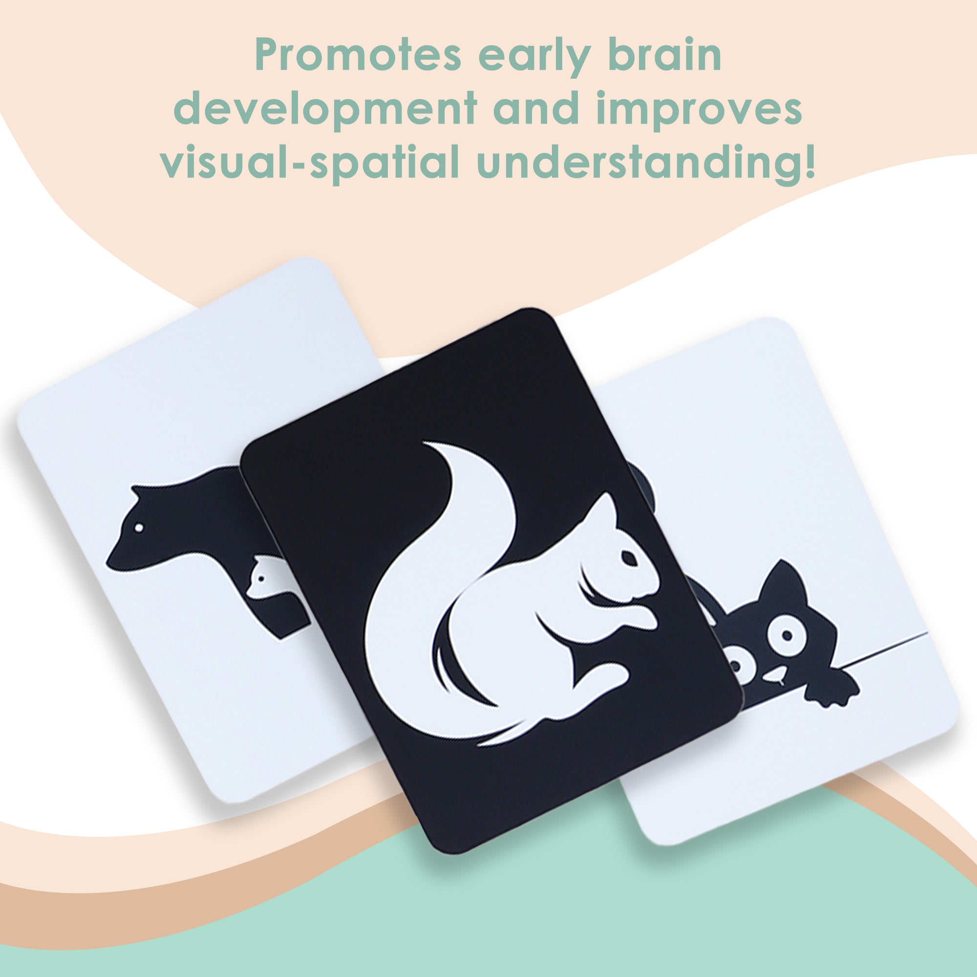 Baby Moo High Contrast Flash Cards Pack of 12 - Animals