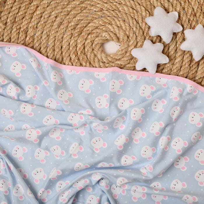 Reversible Blankets