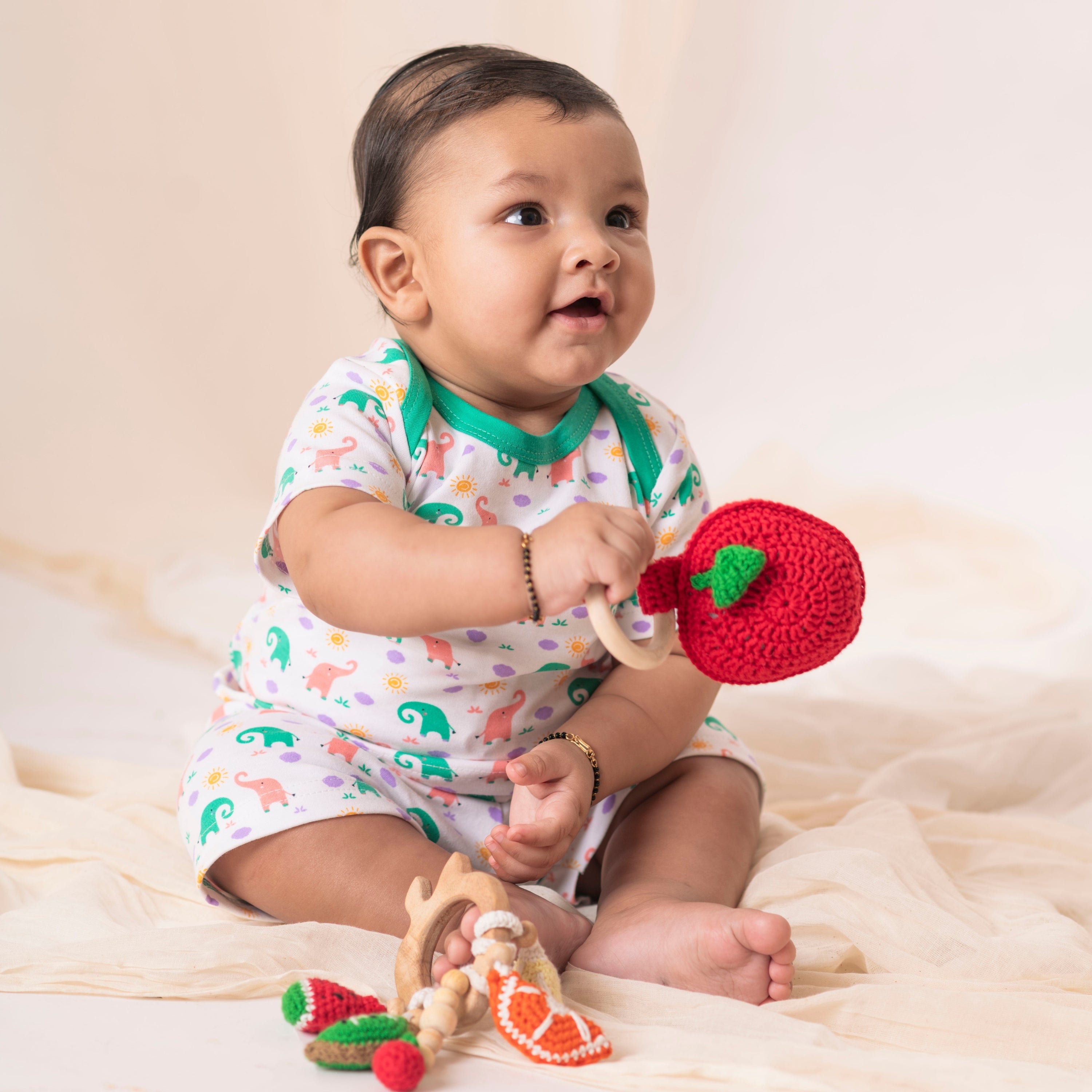 Neem Wood Fruit Teethers/Toy