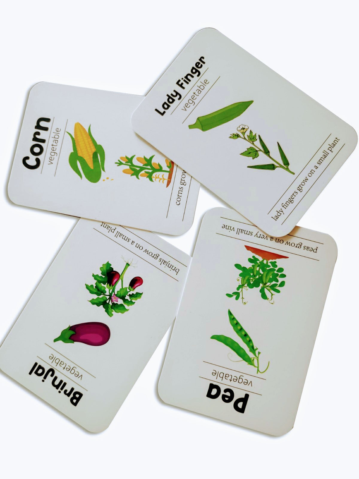 First Flashcards Combo Pack - (Animals, Fruits & Vegetables, Professions & Space Flashcards)