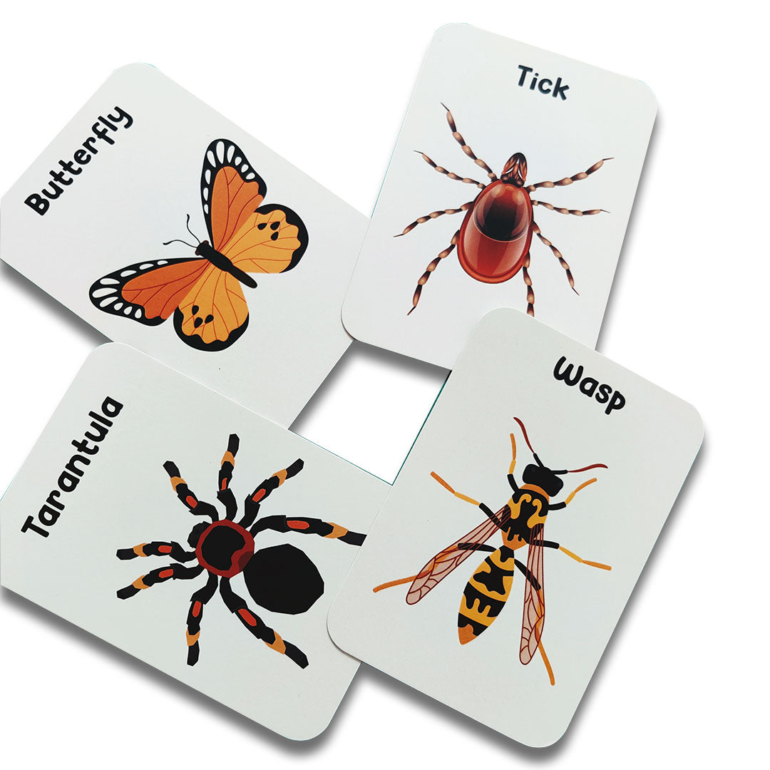 Animal World Combo Flashcards ( Animals, Birds, Insects And Sea Animals)