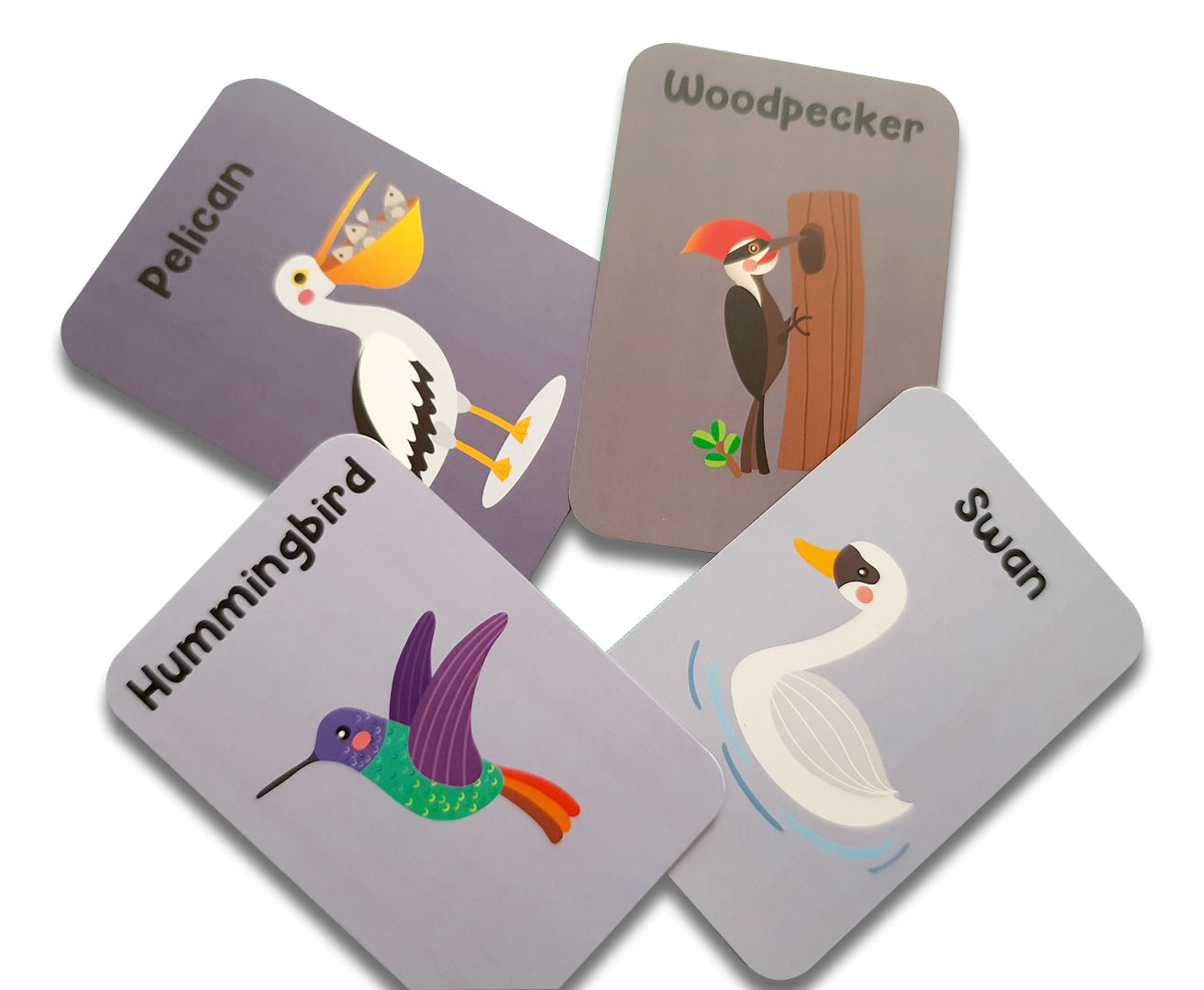 Animal World Combo Flashcards ( Animals, Birds, Insects And Sea Animals)