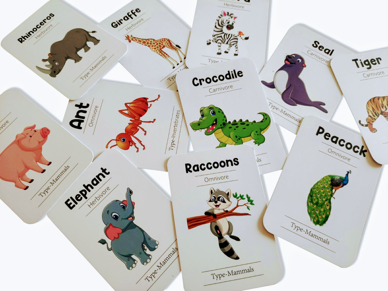 Animal World Combo Flashcards ( Animals, Birds, Insects And Sea Animals)