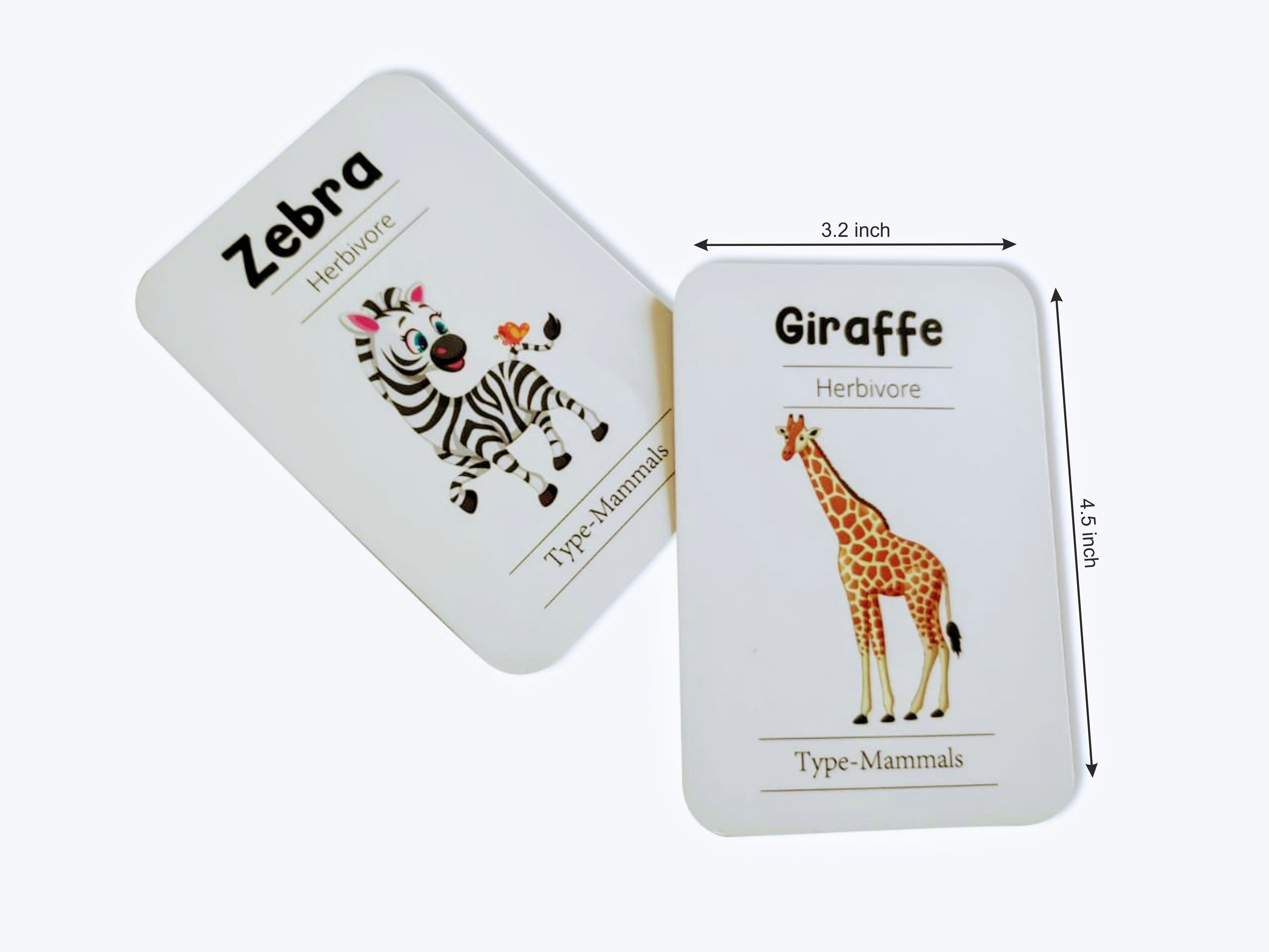 Animal World Combo Flashcards ( Animals, Birds, Insects And Sea Animals)