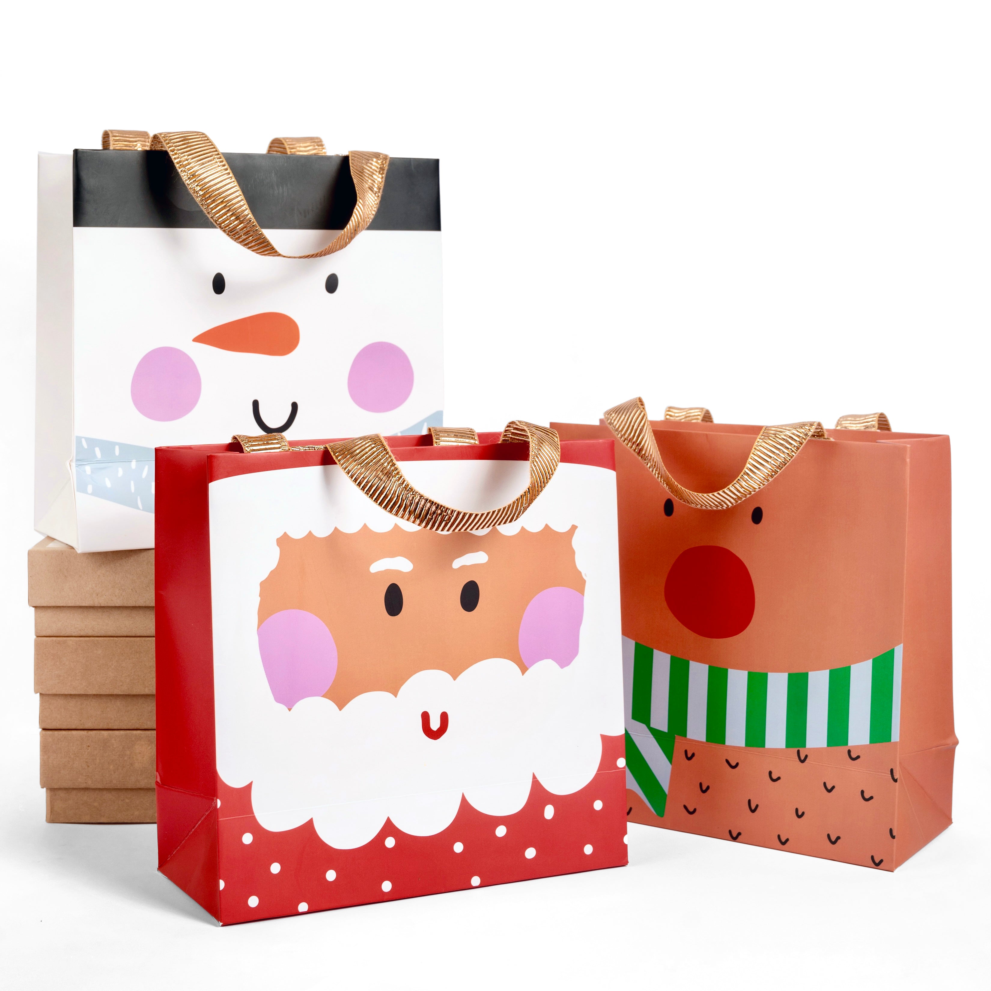 Set of 6 Gift Bags - Christmas Characters